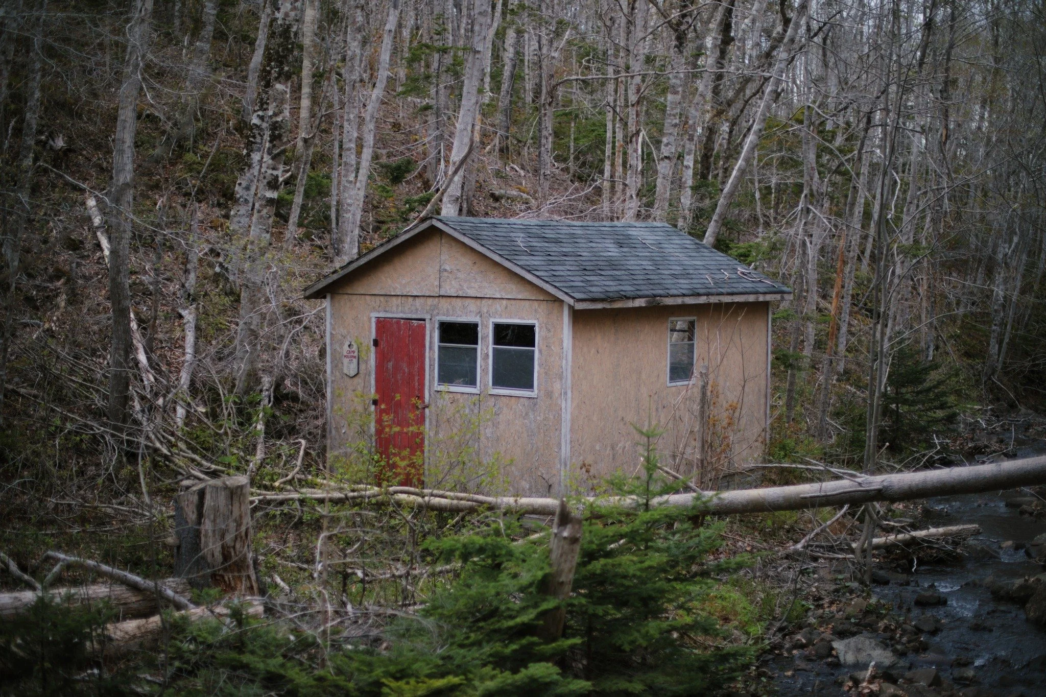 WATER FOR THE WORK &mdash;&mdash; Today was about as much blackfly bait as I'm willing to be. Waiting for gusts of wind to scatter them as I picked my way along the boggy tangle of Mill Brook. Really the most common name for a stream in my homeland, 