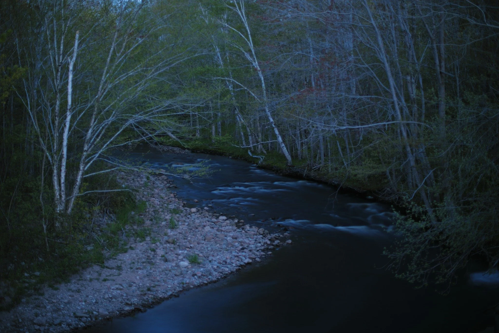 SPRING SWALLOWED &mdash;&mdash; All my rural bridges have such a hold on me, perches to hang around and watch the wilderness steal away in the distance. I've been on and especially under so many, inhabiting a world mostly reserved for fishers and eng