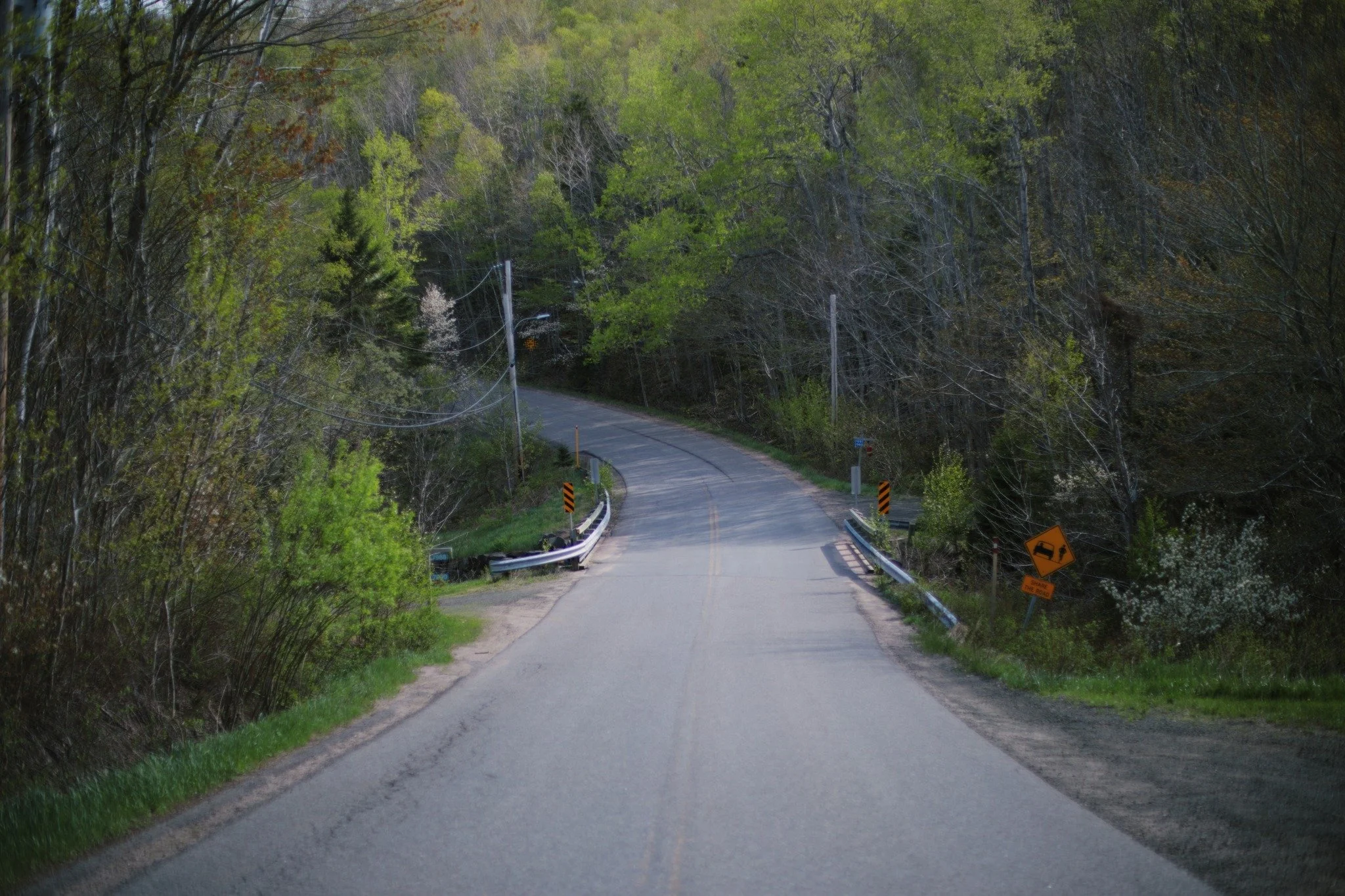 WHAT LAY BEYOND &mdash;&mdash; I've had a lot of adventures that started hurtling through this hollow. Something about heading west out of Hampton always seemed so welcoming, crossing over Gaskill Brook into the scattered shoreline wilderness. In the