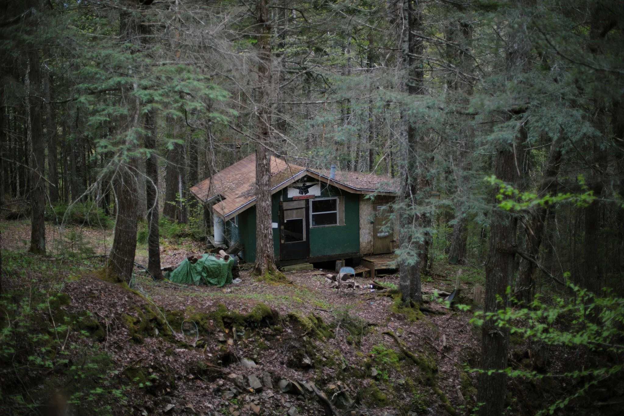 WAY BY KNOWING &mdash;&mdash; When I'm far gone from civilization in blackfly season, I've got a particular appreciation for cabins. Somewhere to shelter and let those bloodsuckers dissipate before carrying on. I leave a note in the guestbook, and wo