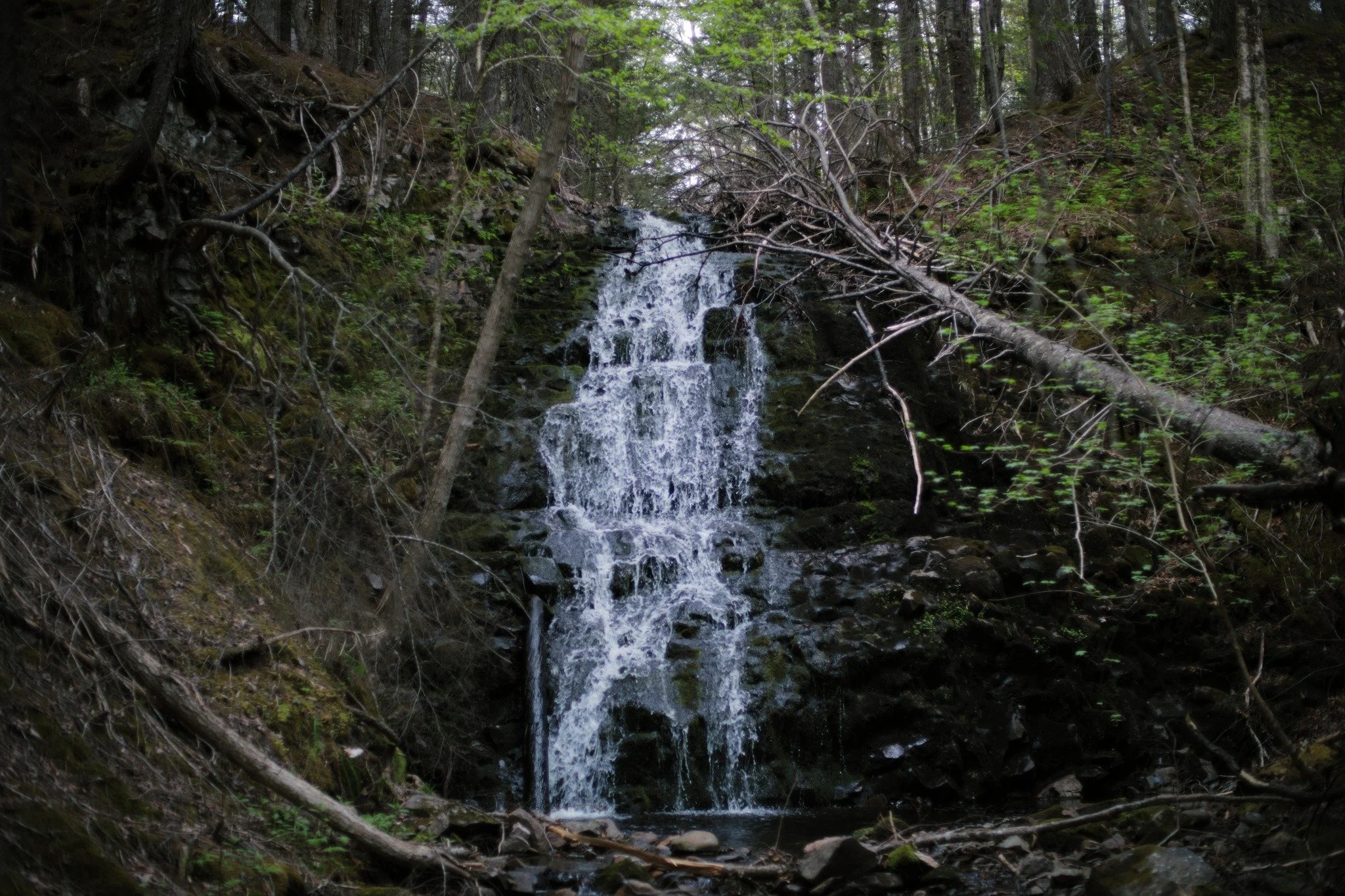 THE SUREST WAY &mdash;&mdash; On a stream only fed by mountaintop marshes, running dry is never far from coming. But bare rock and a deep pool will tell you the fury that's been and will be again. Robinson Brook is formed by way of fingers to a fist,