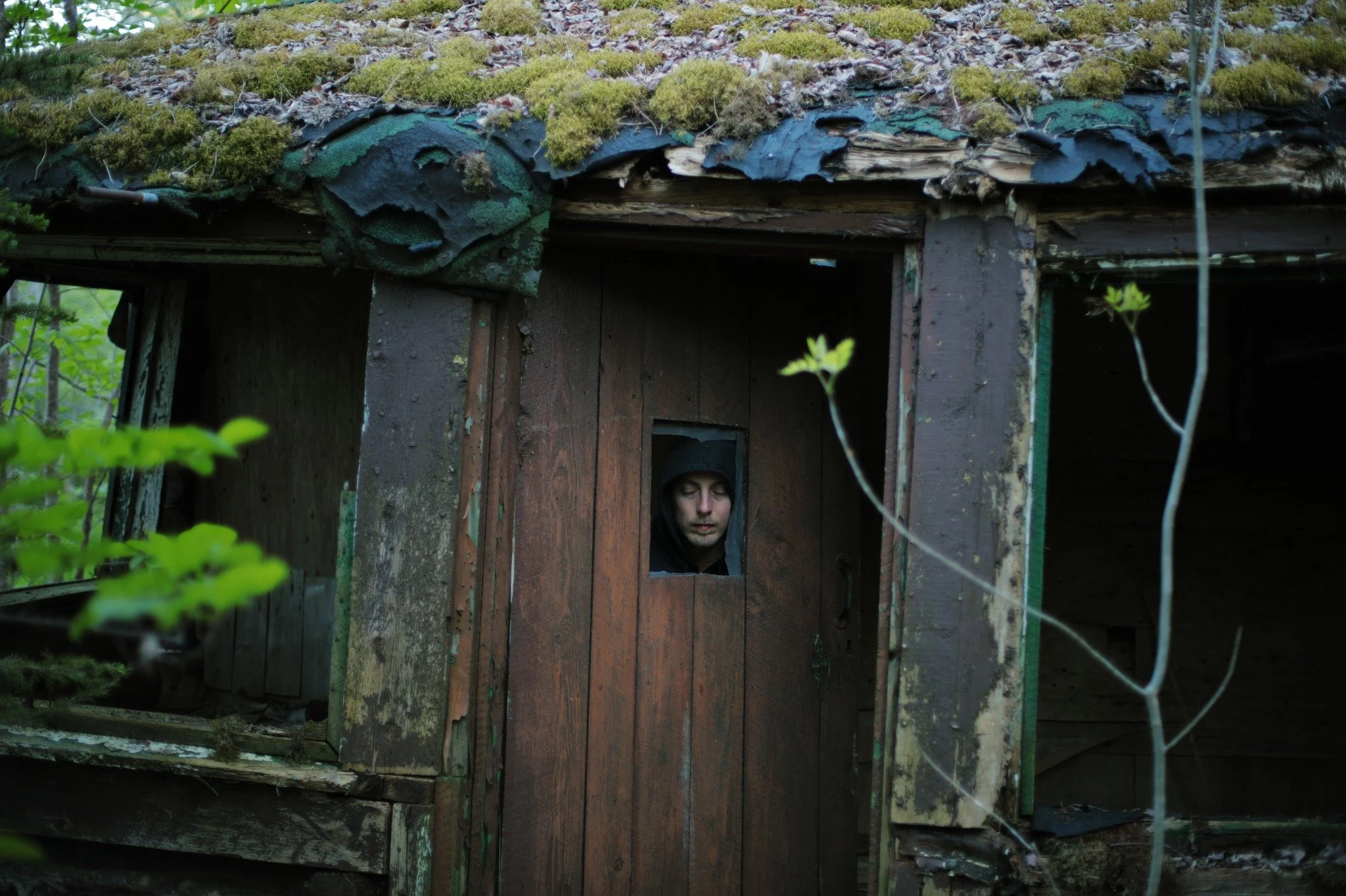 GHOST I GUESS &mdash;&mdash; On a cool spring evening, I catch myself feeling like autumn. The hints are all there. Cool breeze, chill on my fingers, hints of the same yellows and oranges that newborn leaves share with the dying. Just like infants an