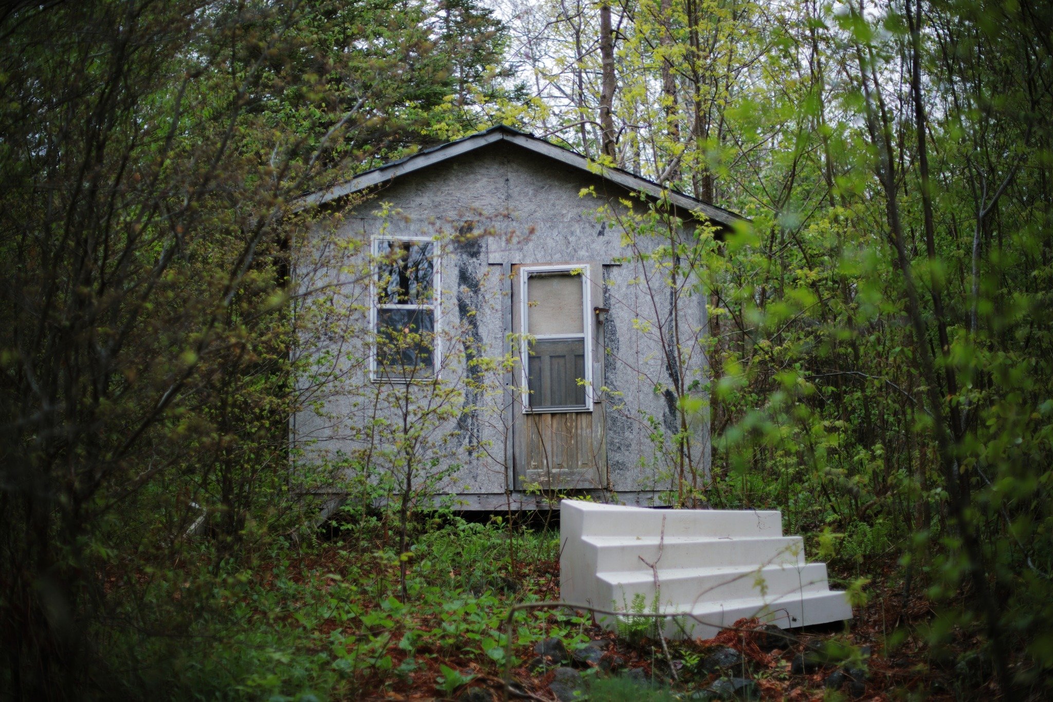 MUCH LINGERING &mdash;&mdash; The cabin compulsion is one I've never felt as an adult. But there was a genuine draw as a kid, to build me somewhere isolated from outsiders. I didn't fit in well, so a world of my own seemed appealing. Looks like it's 