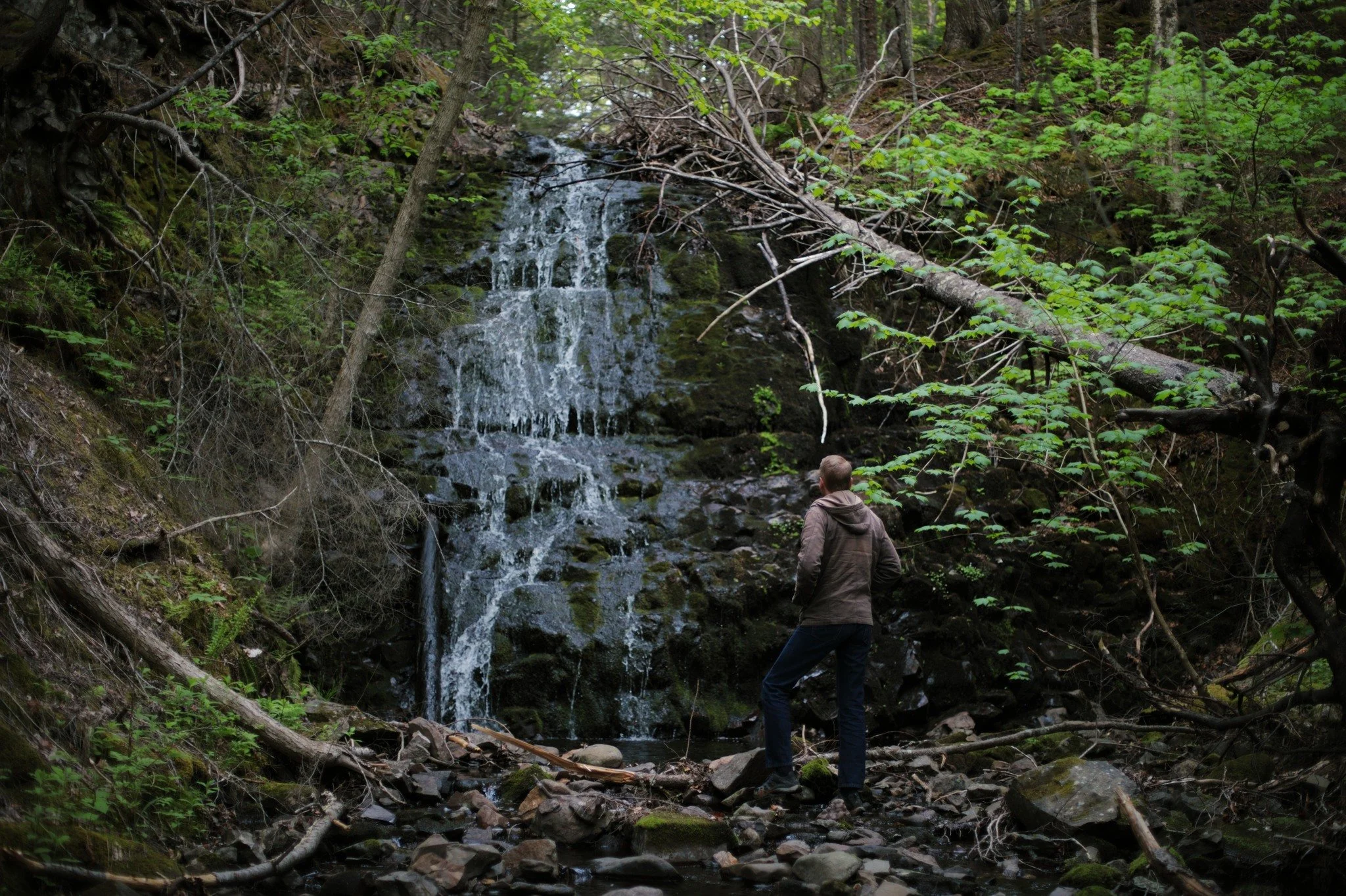 CAN'T HELP BUT &mdash;&mdash; It's a little early for streams to already be running so low. Here at one of several unnamed creeks converging into Robinson Brook, rocks run a cascade that barely breaks loose on the descent. Is a waterfall just water f