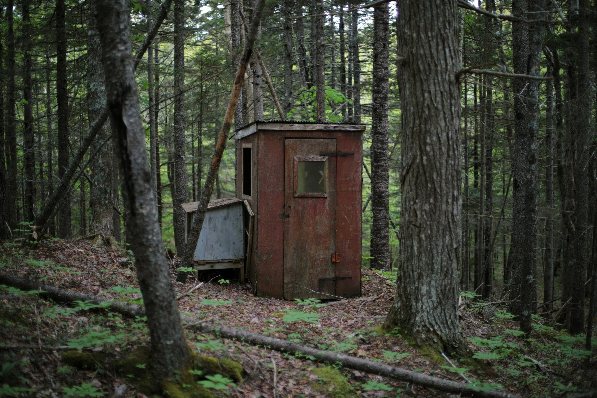 WHAT THEN &mdash;&mdash; No one has fond memories of the outhouse. Bad smells and spiders, musty boards and bug bites on your bottom, a pit below that no one wants to visit. They exist in parallel projection to unrelated nostalgia, days run wild in t