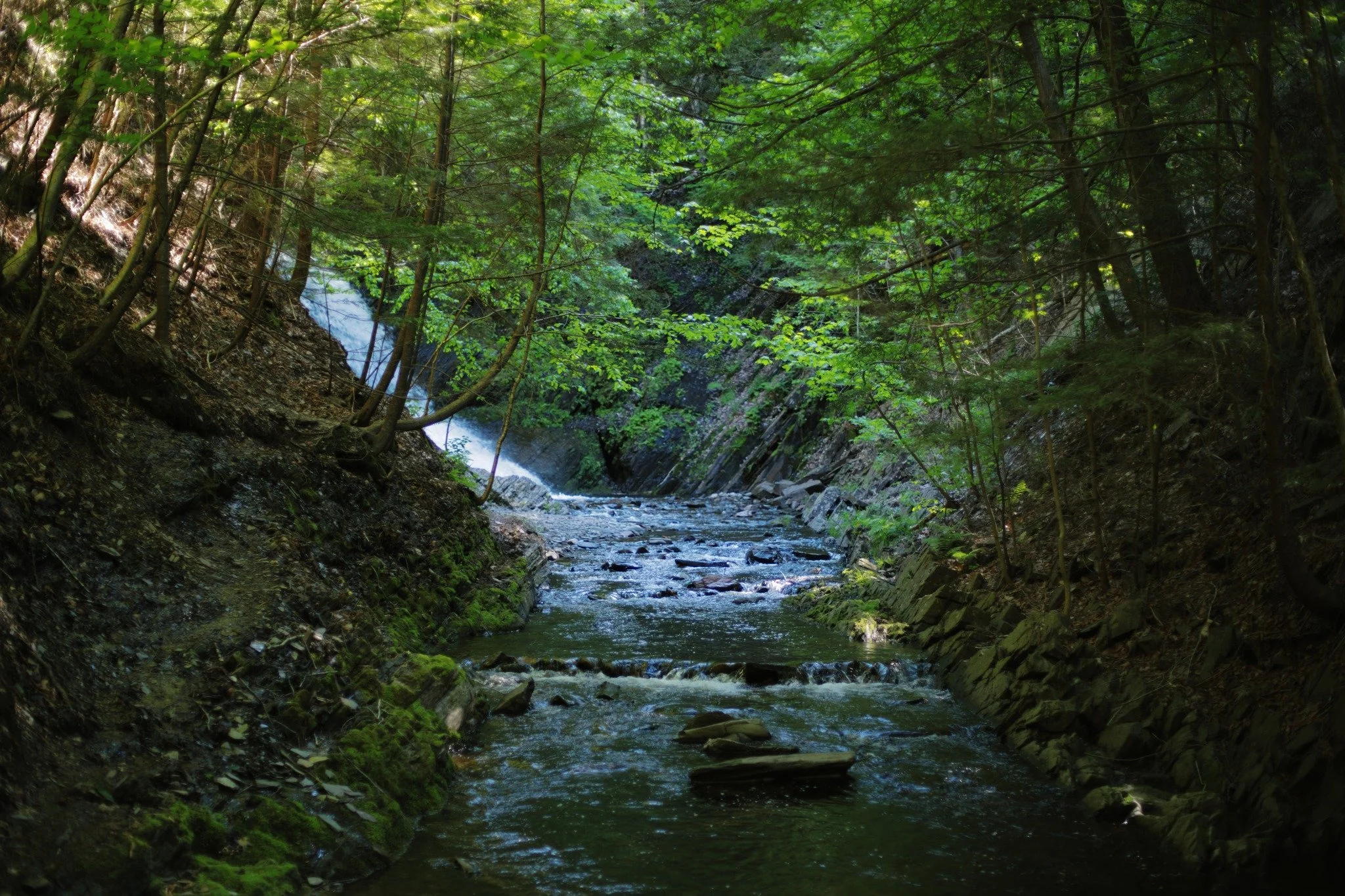 WHO LEFT HIS HEART &mdash;&mdash; Some of my most-loved waterfalls land like this. A ninety-degree corner of chaos, followed by an immediate sense of calm. There's a sort of shyness suggested on approach, hiding in the brush around the bend. Moore's 