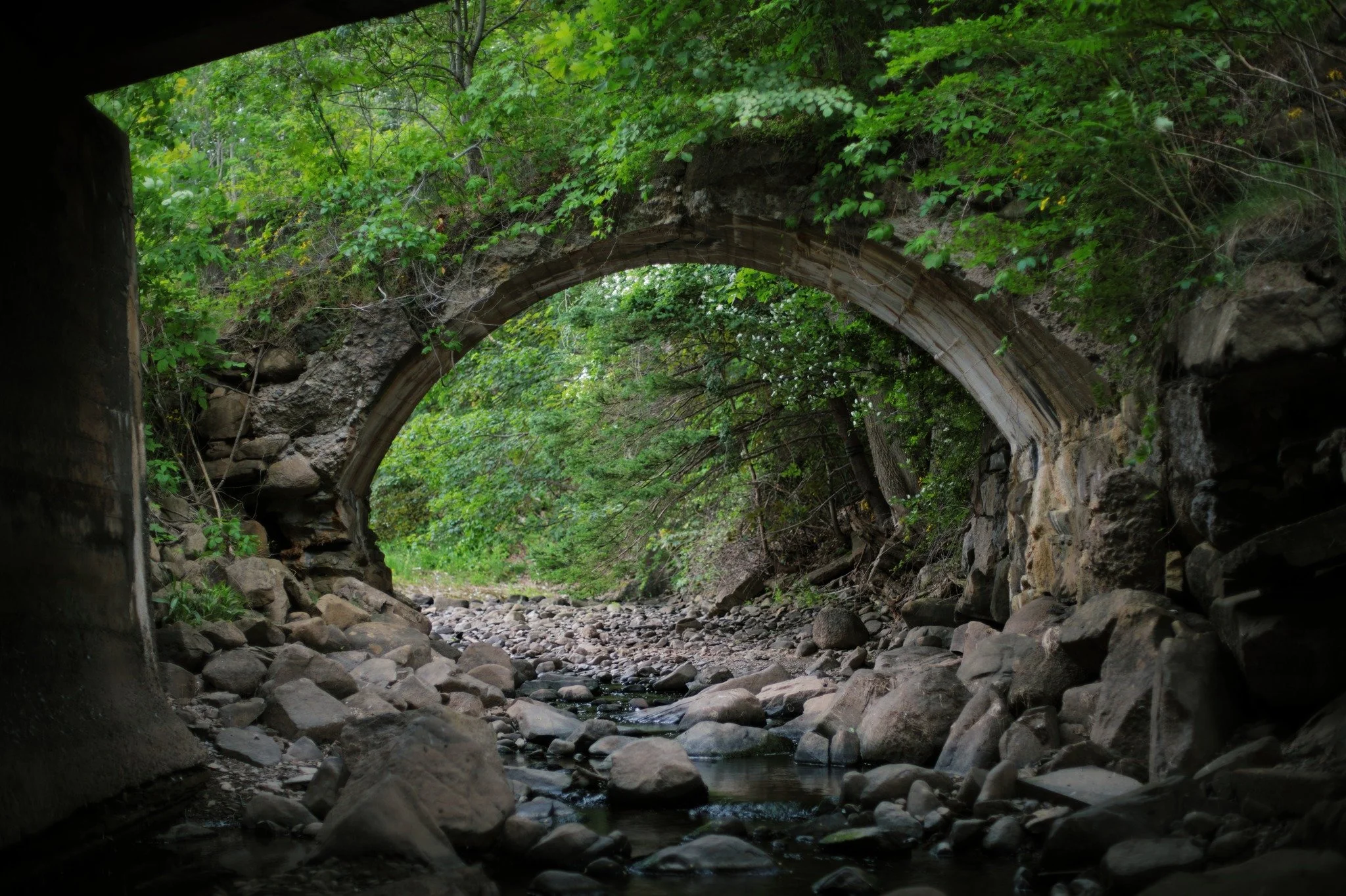 GNARLED ROOTS &mdash;&mdash; The absurdity of this archway charms me. Just west of where Old Post Road and Highway 1 meet, a bit of the former Roach Brook bridge stands beside the current one. There's some soft mystery in the relics of infrastructure
