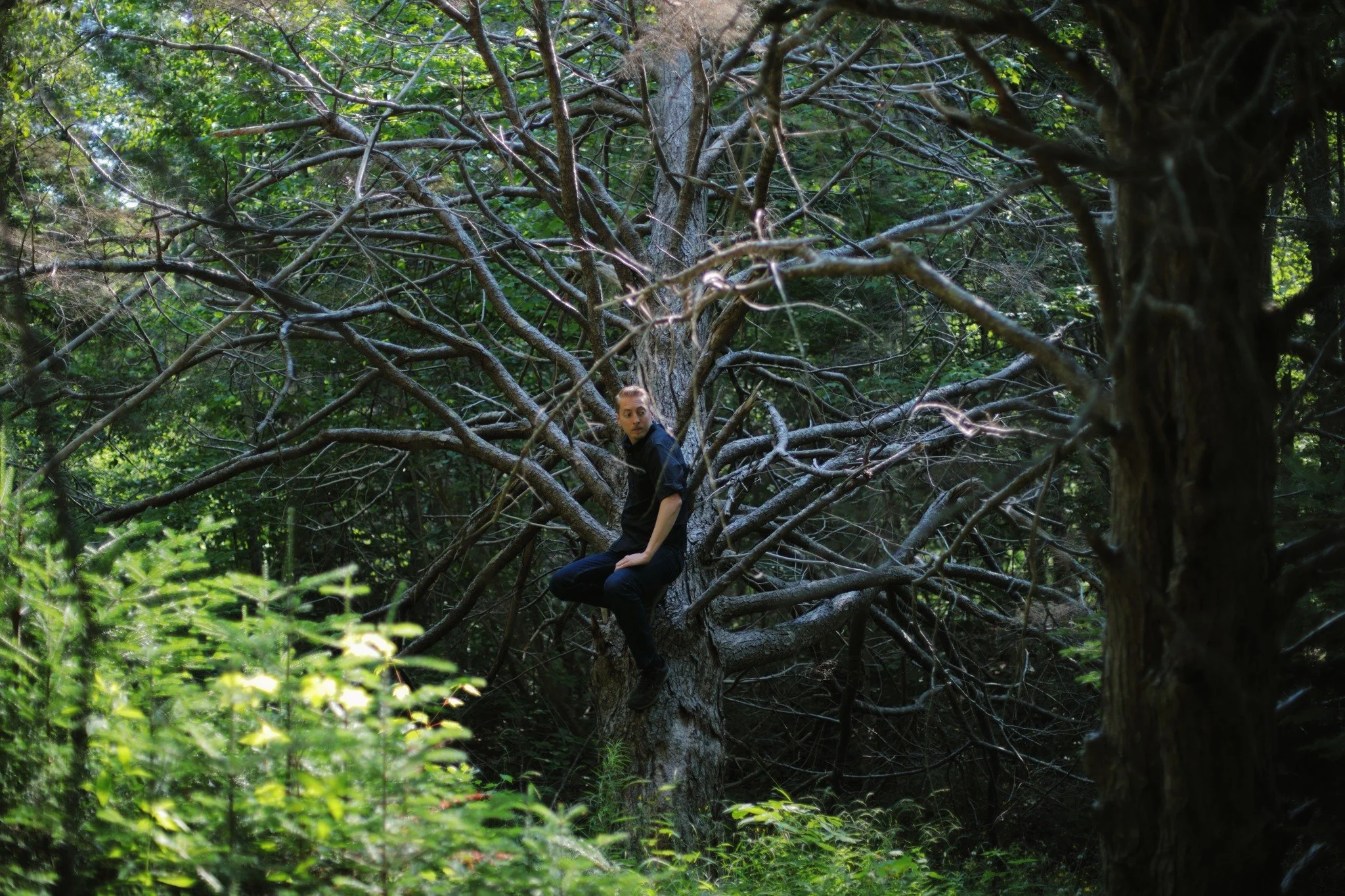MIND MY HEART &mdash;&mdash; This tree is hanging desperately to not come crashing into Parker's Cove Brook. But that can't help but happen, as it's too dead to dream of otherwise. I'm intimately aware of where the bright sun shadows cast themselves,
