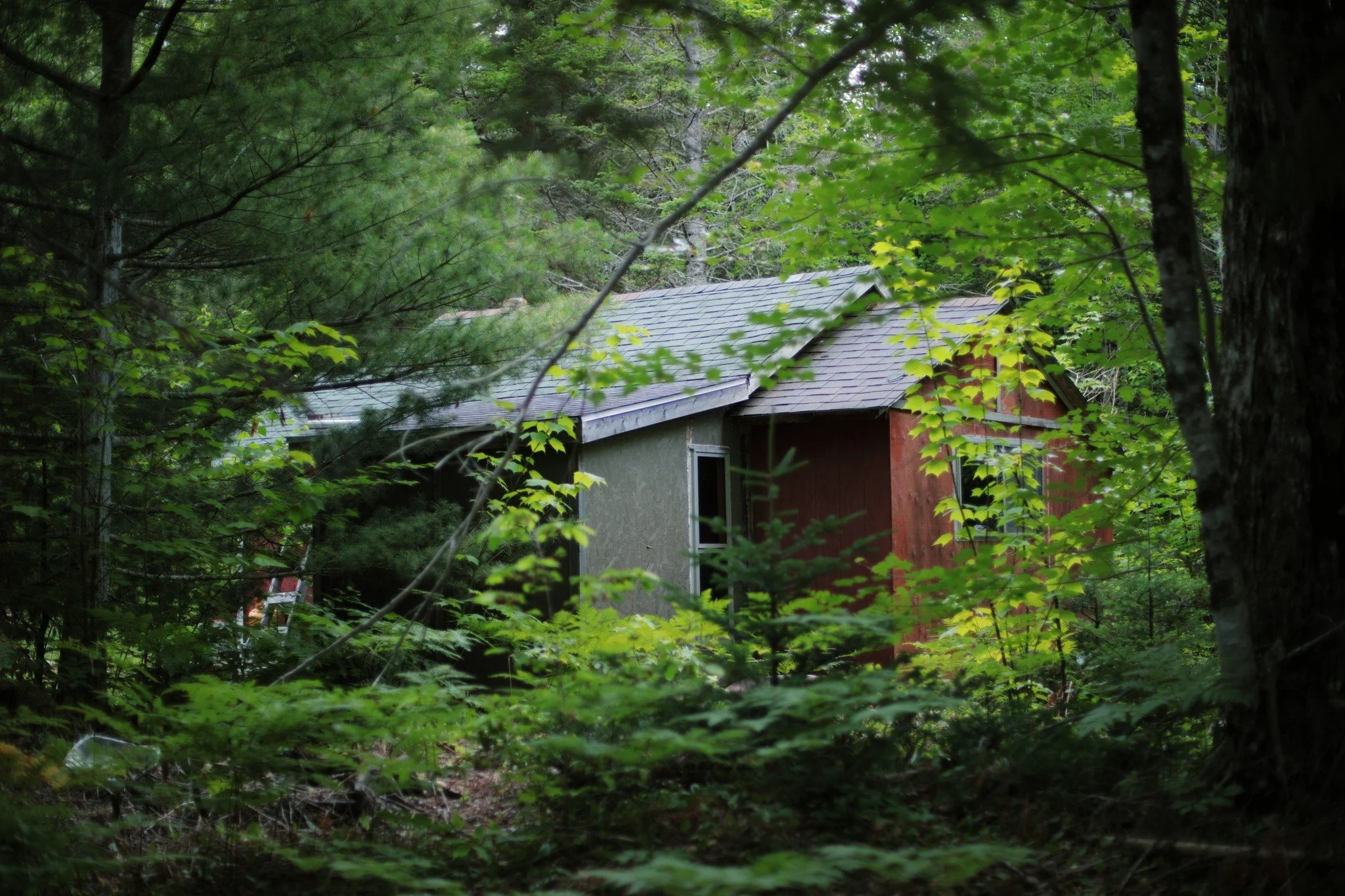 WIND WON'T REACH &mdash;&mdash; There's a striking stillness in the tinder-dry forest, a steady seduction of all who seek out silence. The scattered cabins show themselves as relics of autumn. They're not so much where you'd want to be right now, lyi