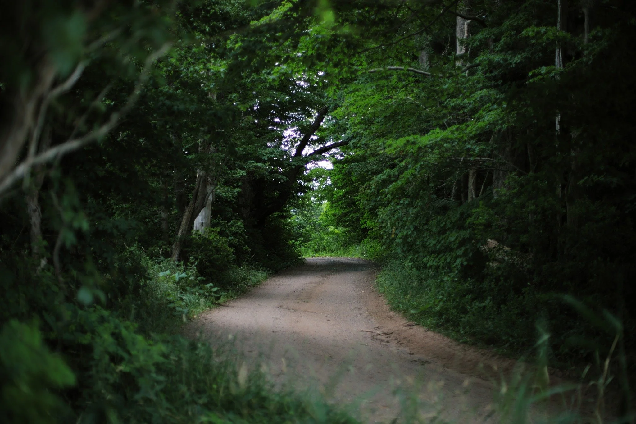 LAST GASP &mdash;&mdash; Hundreds of years after they were first settled, the peninsulas of Annapolis River are still largely dominated by farmland. Probably just as well that so few homes were built on the floodplains. Round Hill Road runs down one 