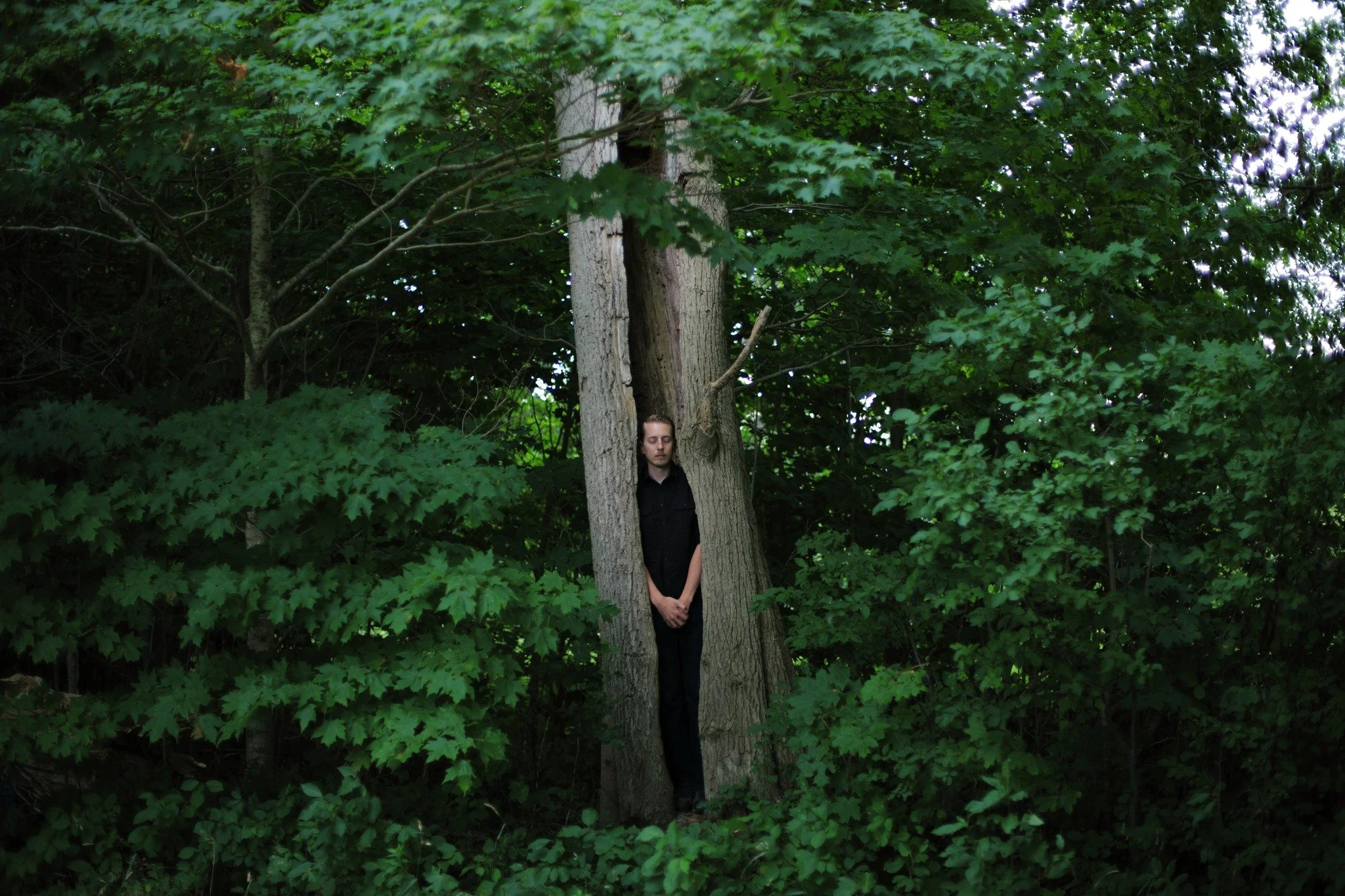 HOPELESS REST &mdash;&mdash; Used to worry a lot about what I was feeling, but with the years, it's come clear that feeling anything at all is more important. Dullness of desire is a trait accumulated in time, vague heartlessness, a growing collectio