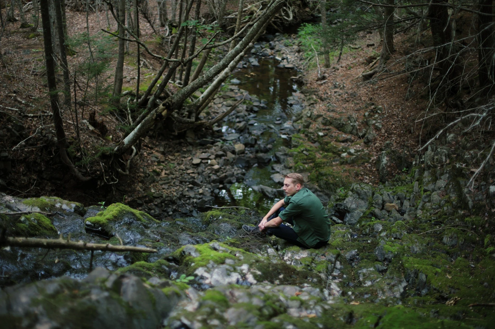 YOU CAN LIVE &mdash;&mdash; The streams drift dry in a hurry, but a trickle provided by underground springs still gives the moss enough to drink. It clings to rocks in the hope of surviving the force of floodwater. Bare patches give away where it fai