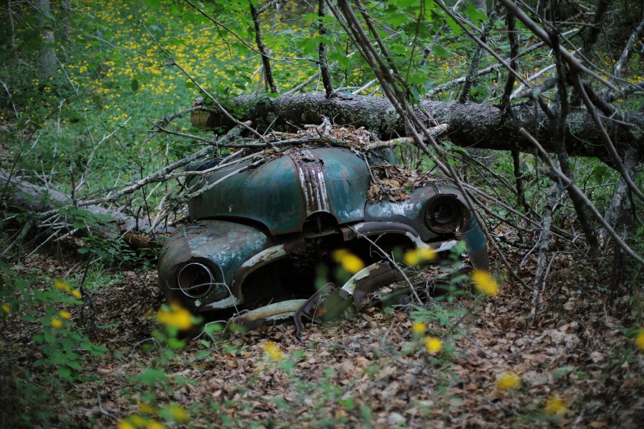REST SOME KIND &mdash;&mdash; This cool afternoon comes welcoming, yellow flowers wavering like fireflies sparking, summer giving me a break before the next heavy heat draws down. I must be lucky that the clouds cast shade without rain, the humidity 