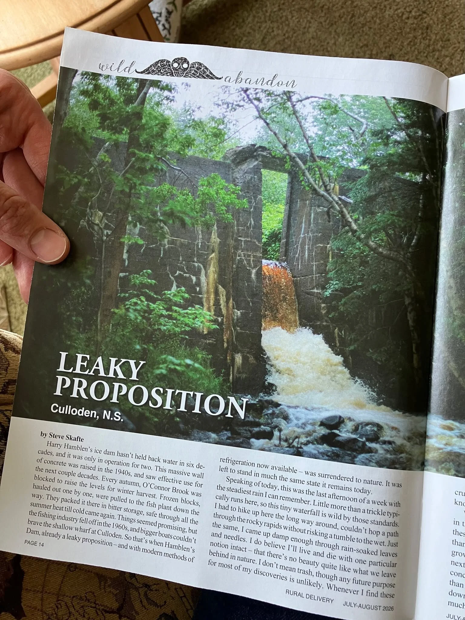 Did you know that my "Wild Abandon" column has appeared in every single issue of Rural Delivery magazine since 2021? They've been a great supporter of my work, and it's such a pleasure to be involved with them. Their pages contain wonderful