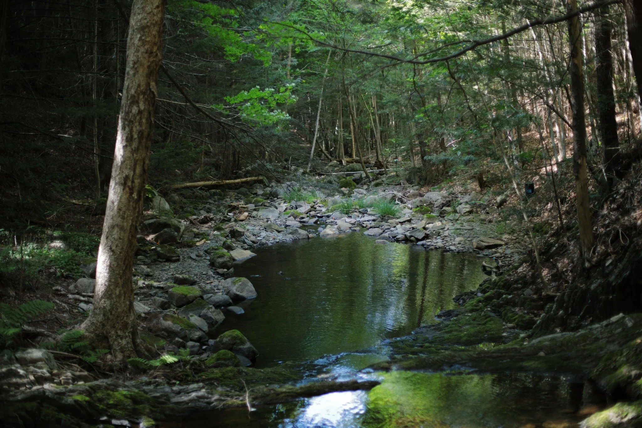 DRAW AND DROP &mdash;&mdash; Pools of cool water on blistering hot days. What could be welcoming like that, sitting down for at least a set of bare feet slipped under, if not more. Escape from the sun and waves of rising humidity. The watery white no