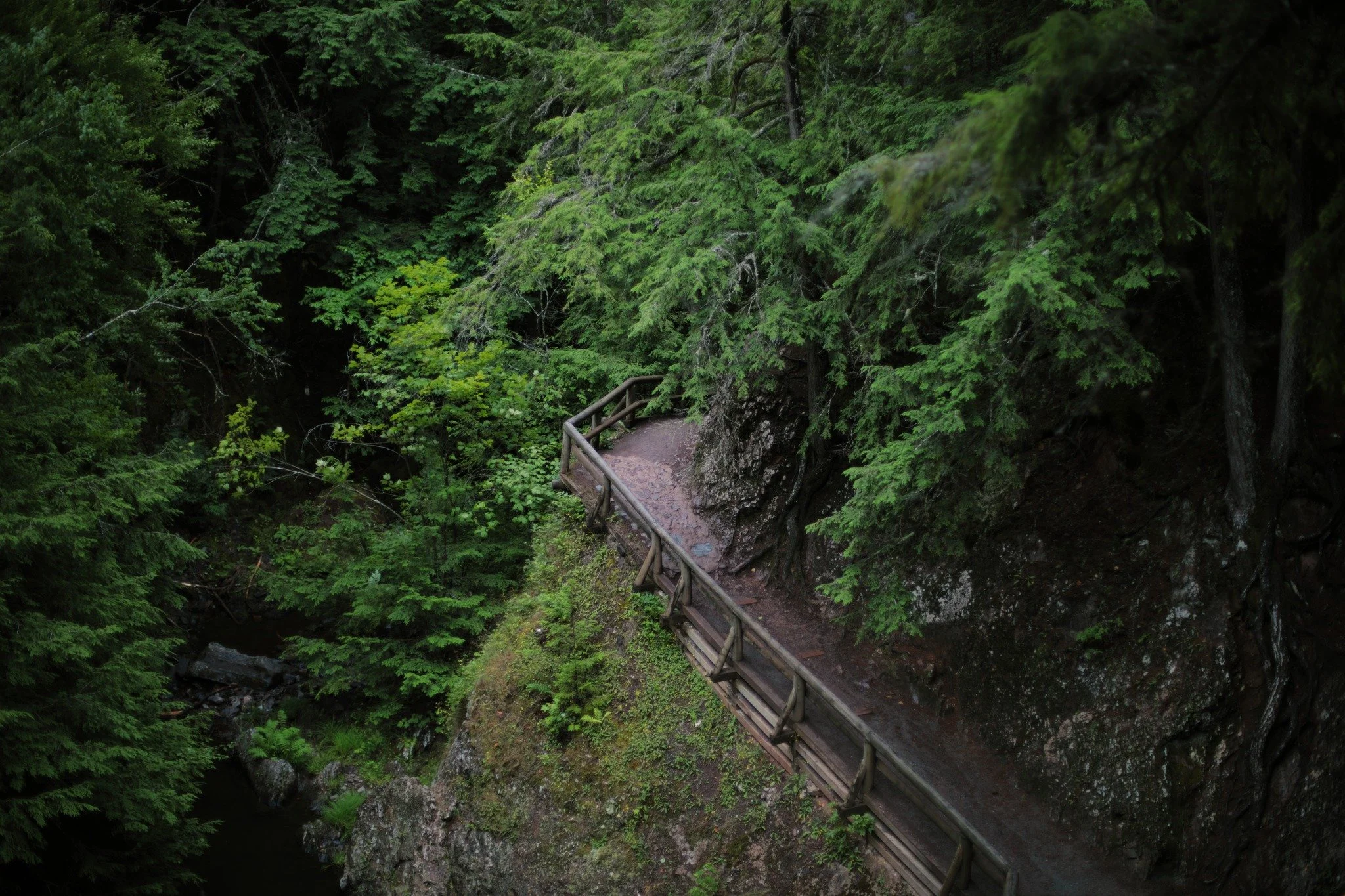 TO EVER TAME &mdash;&mdash; I follow a lot of stream hollows, and next to none of them come with the benefit of trails. I'm more used to scrambling over rocks, picking along slippery embankments, grabbing hold of roots and limbs for fear of gravity. 