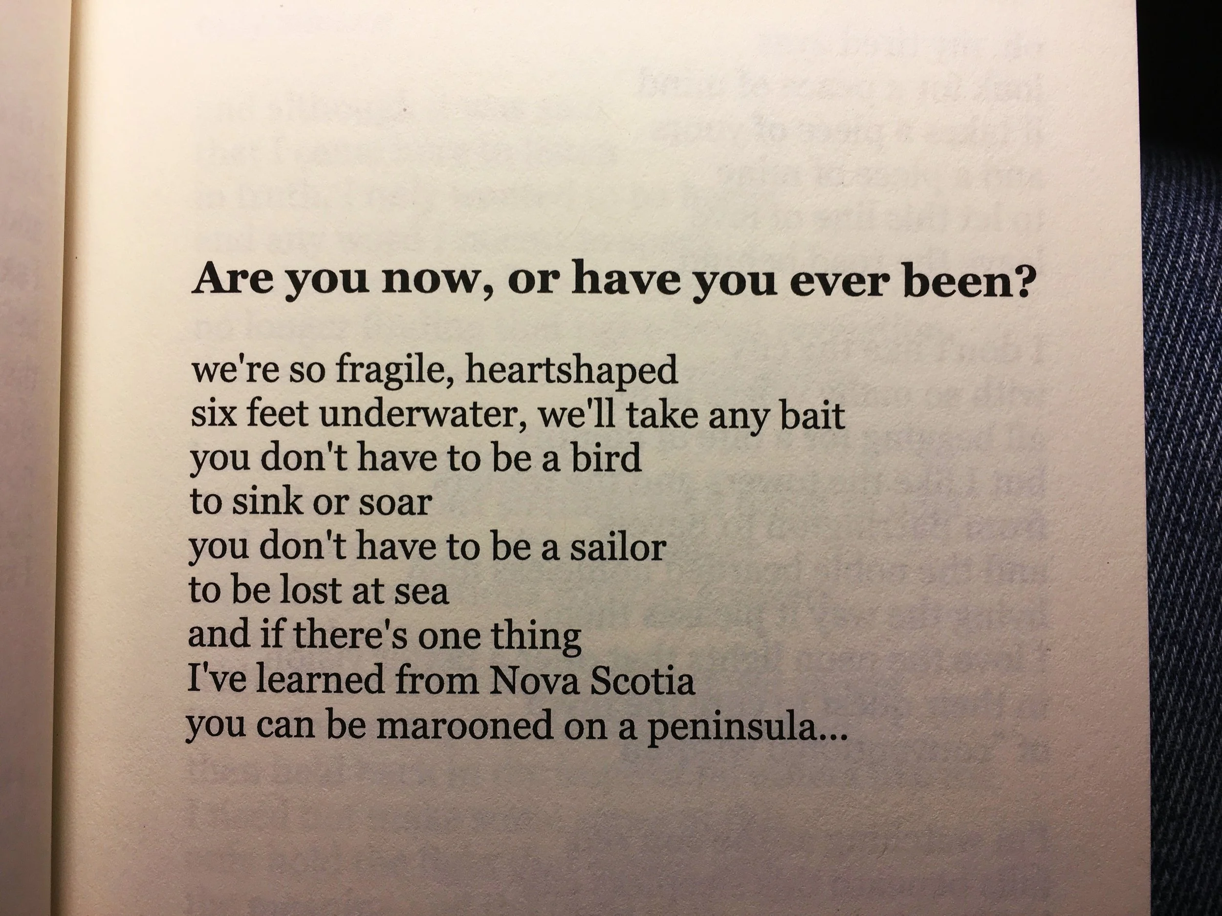This poem actually made the shortlist for a tourism program, and if it had been chosen, you would've seen it on posters! But alas. It's from my 2014 poetry paperback: "Long Time, No Sea". You can order a signed copy on sale for 50% off dire