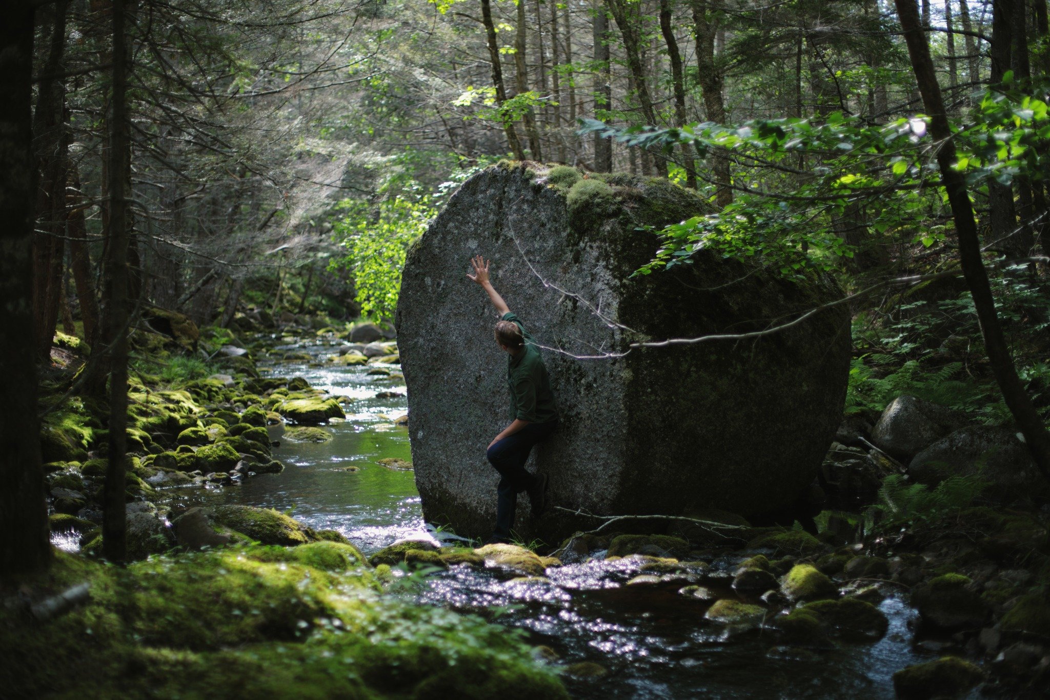 CHILDLIKE ME &mdash;&mdash; The erratic boulders of an ancient glacier scatter Nova Scotia, commonly close to home along the slopes of South Mountain. Deposited on the shoulders of streams, down in dark hollows, frozen in place at the forks and cross