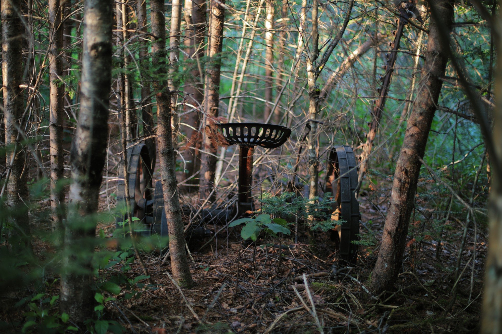 SULK AND LIE &mdash;&mdash; I've always found fascination in the cage that time and nature makes. Once-valuable equipment rejected and rolled to an open, but out-of-the-way place, for some potential future purpose or salvage. But the future never com