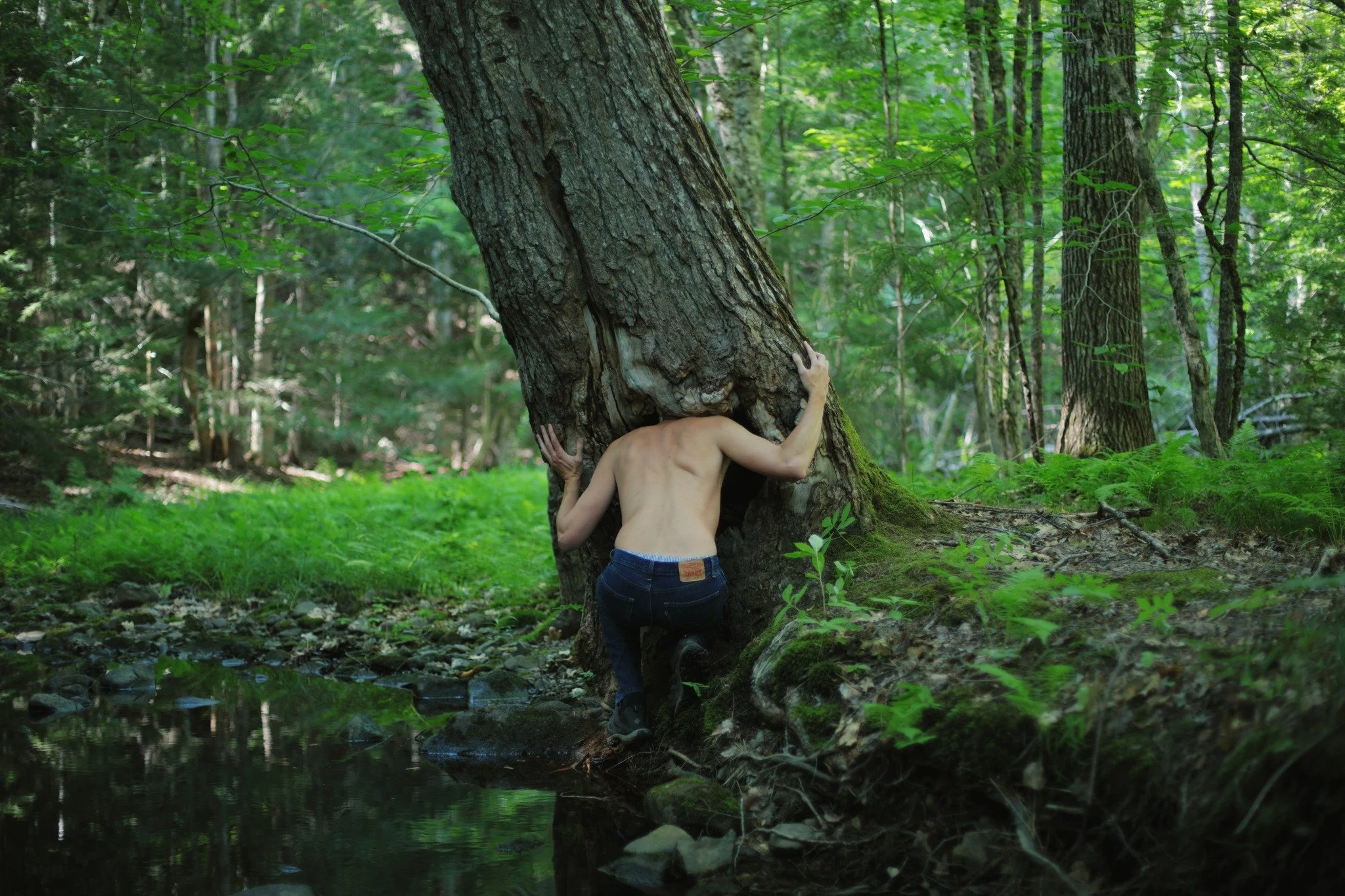 PULLS APART &mdash;&mdash; On my hike in here, I spotted a woman on the opposite bank, waved and spoke briefly. First time I've encountered another person up a stream in many years. I tend toward forgetting people even exist. There are secrets in sil
