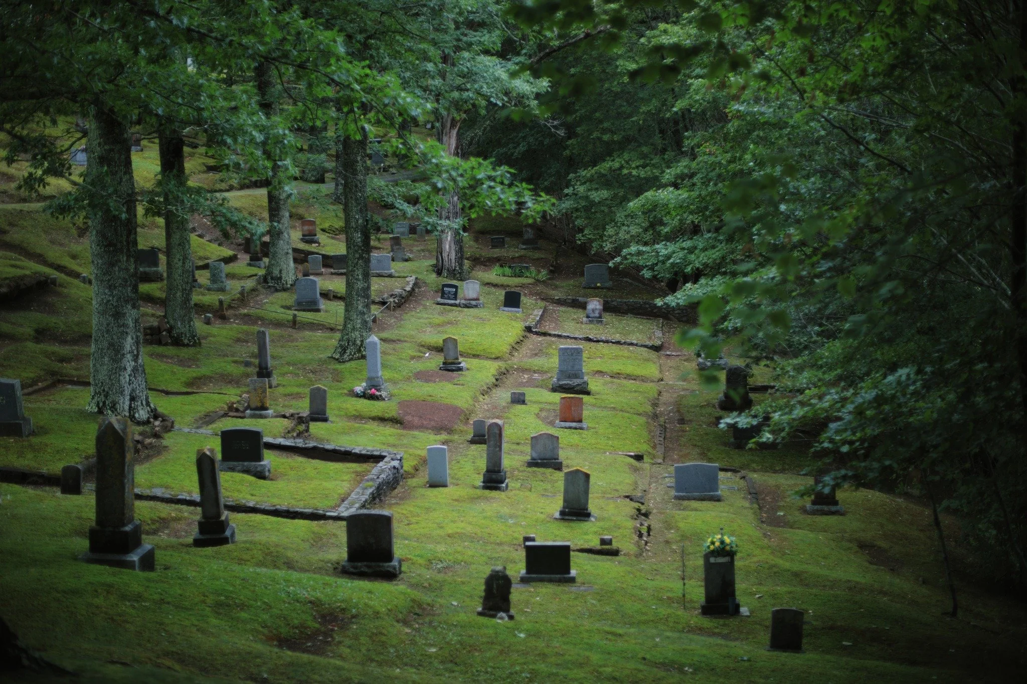 GOT NO ROOTS &mdash;&mdash; The north side of Oak Grove Cemetery gives no hint of the south. Over here, it's just peace and silence on a cliff above the marshy wilderness of Cornwallis River. No sign of all the busyness going on on over the hill. Tra