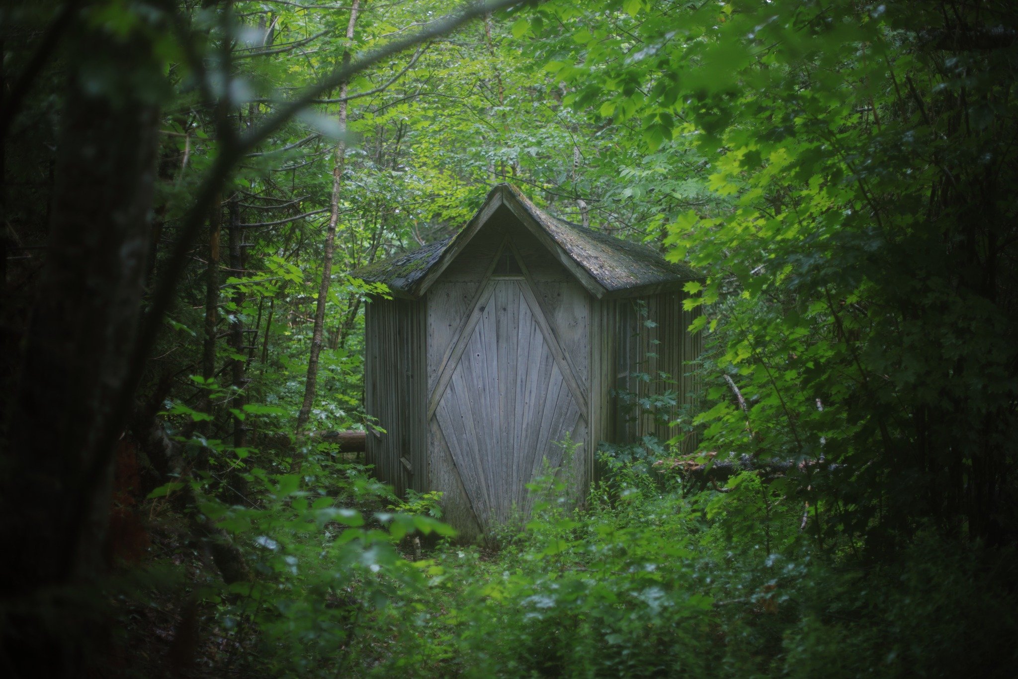 PLACE POSSESSING &mdash;&mdash; Despite being soaked head to toe, I never regret a walk in the rainy woods. The clouds were crashing and canopy clattering down, spurring me on to some dry sort of shelter. The roof leaks, yes, but not from everywhere,