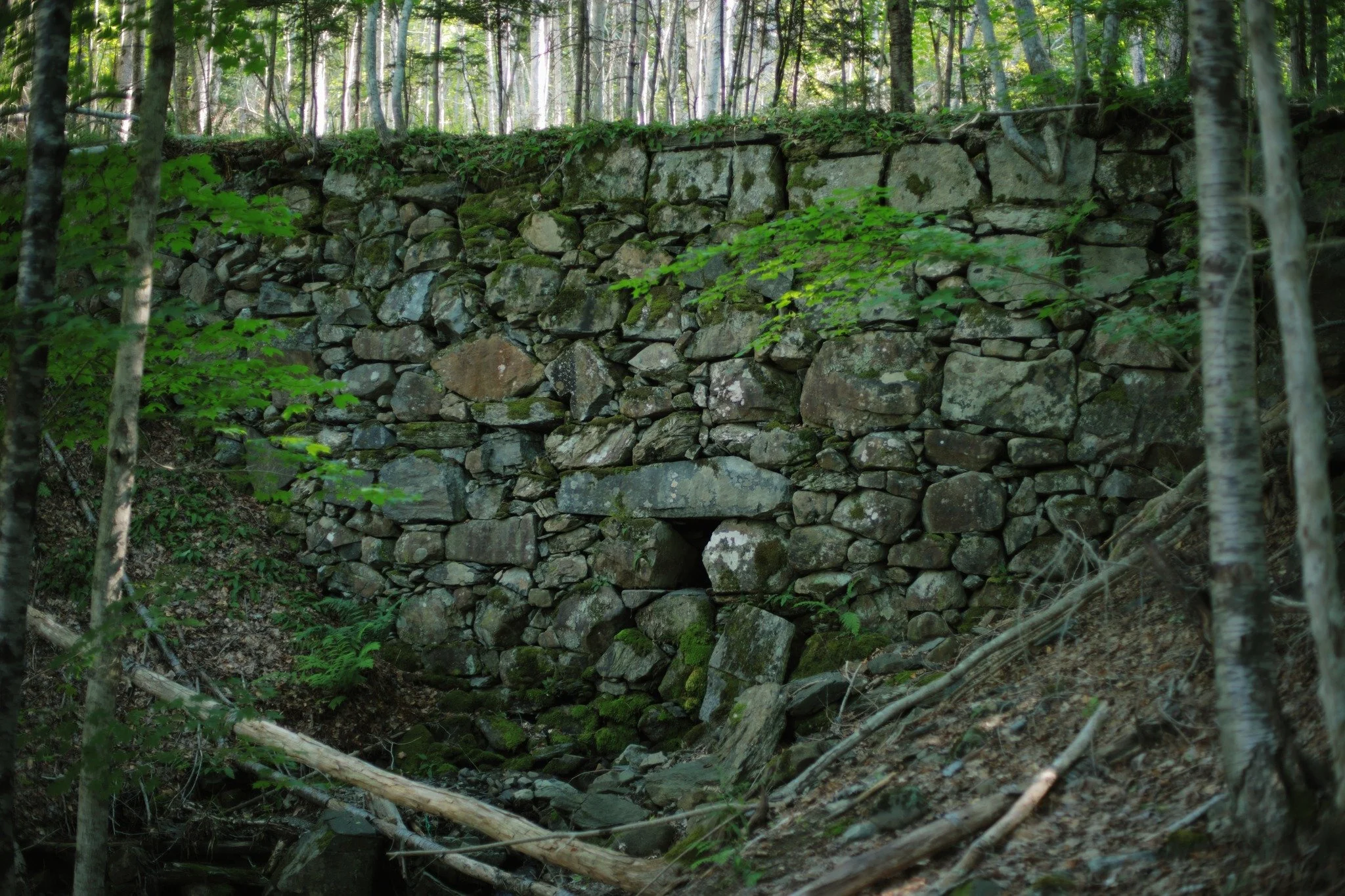 CURIOUS BEAST &mdash;&mdash; Halfway between River Road below and Riverview Road above, a remnant that probably predates both. It's tough to imagine exactly why such a small creek crossing would be so wildly overbuilt. Indeed, the trickle is so tiny 