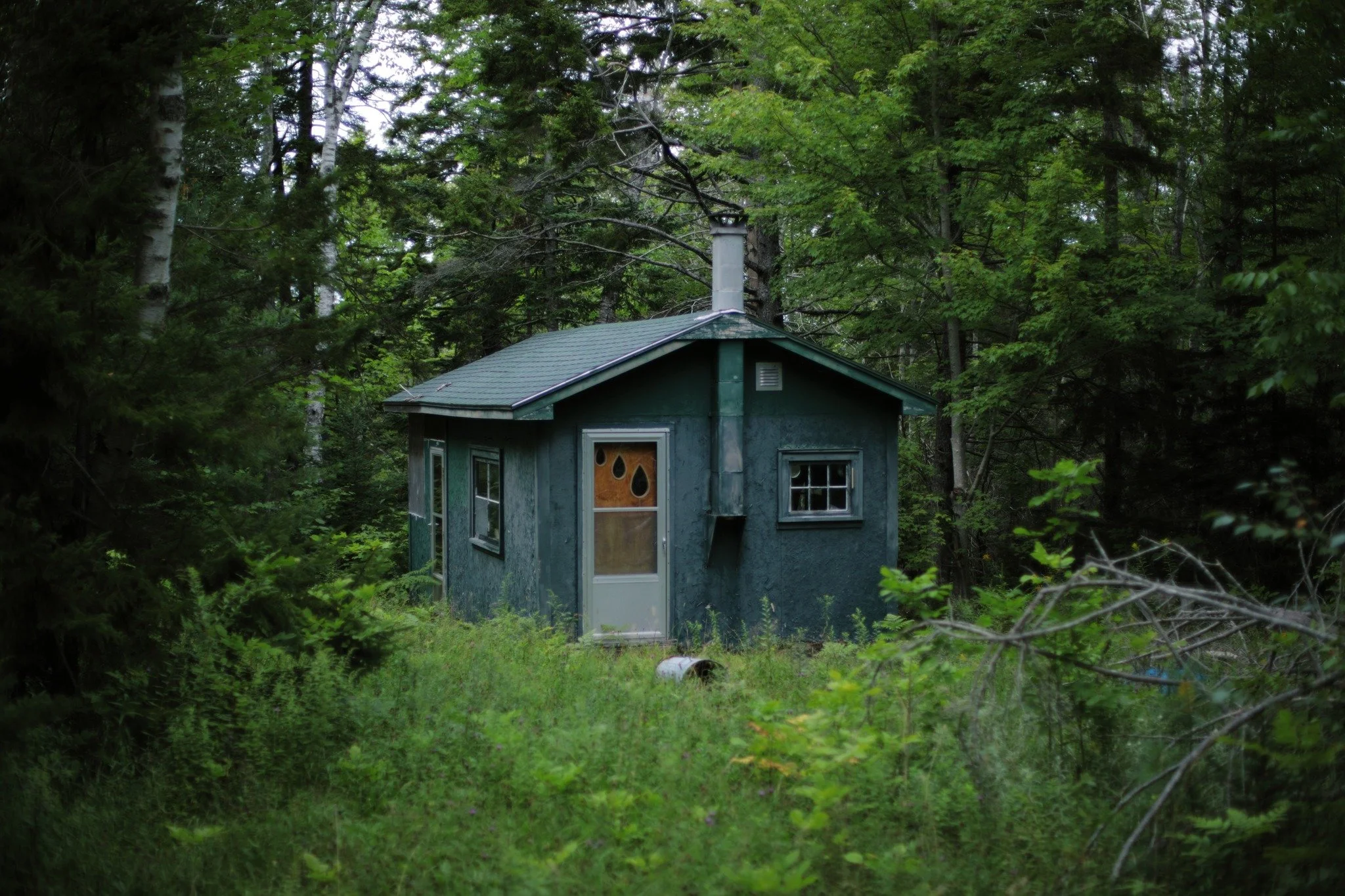GOLDILOCKS WINDOWS &mdash;&mdash; The first time I stumble through the dooryard of some small cabin, I wonder if it's seen its last loving. Those shingles aren't shot, but sun damage does the worst, and this grove sets plenty of shade. They were like