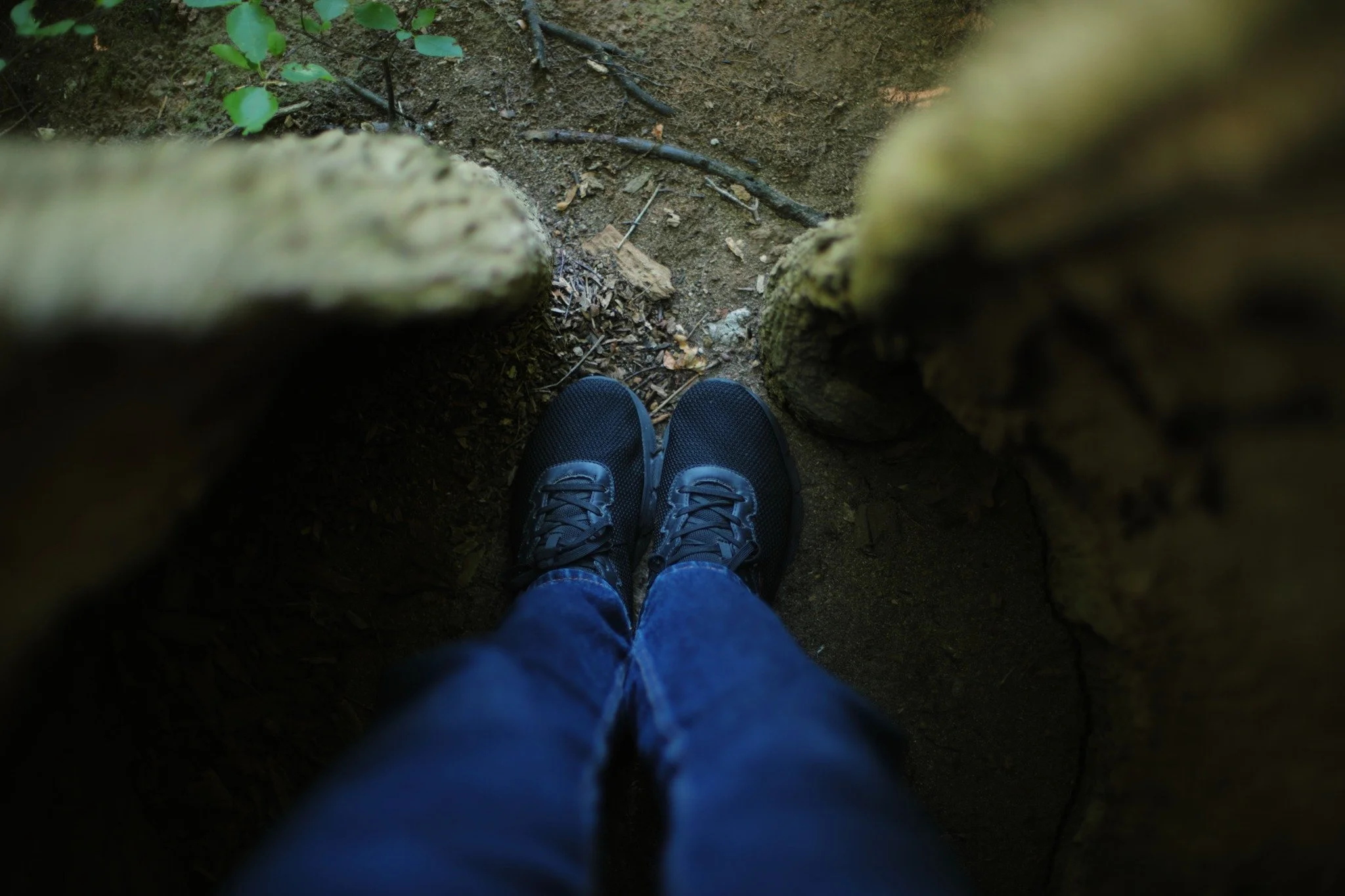 INVERTROVERT &mdash;&mdash; Just as I like to check in on the crumbling and derelict structures I've discovered, I've got a mental map of hollow trees that call me curious to return. Are they still standing since my last visit? Passing a precarious e