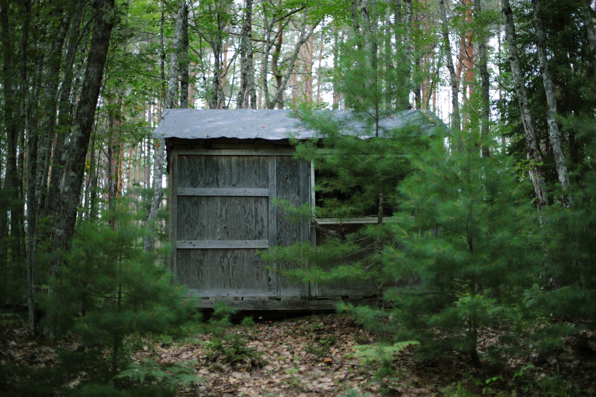 RUN FOR THEIR STATIC &mdash;&mdash; I know where the bodies are buried. That's what comes with so many years spent searching for the dead, tracking abandoned cemeteries into secretive spaces. There's a solitary gravestone a few yards from here, layin