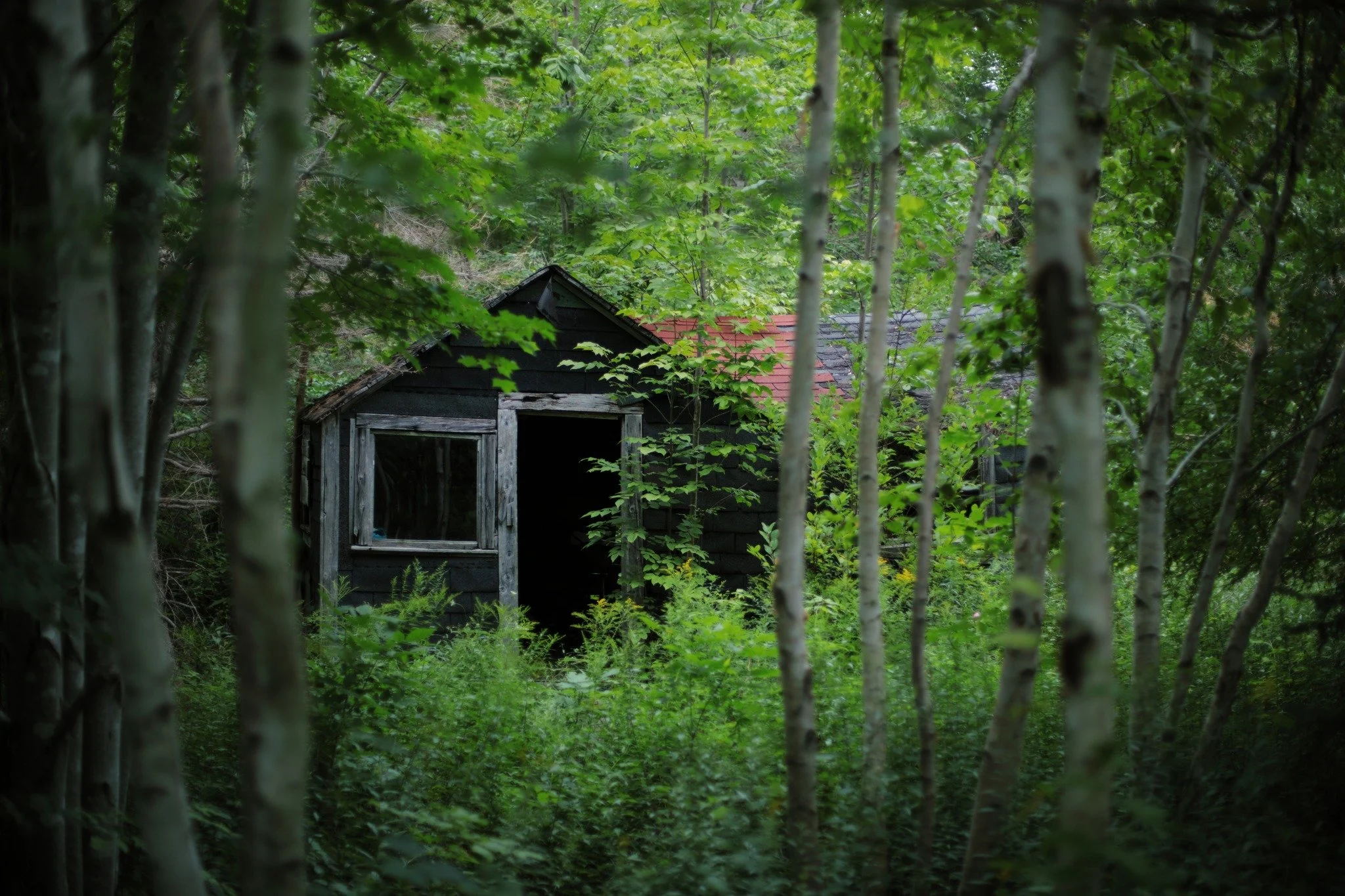 LIKELY FATAL &mdash;&mdash; When I first stumbled over the abandoned Bent cabin five years ago, it wasn't looking so rough. Sure, it was still pretty rotten and well beyond repair, but things have grown steadily worse. Back then, the door seemed only
