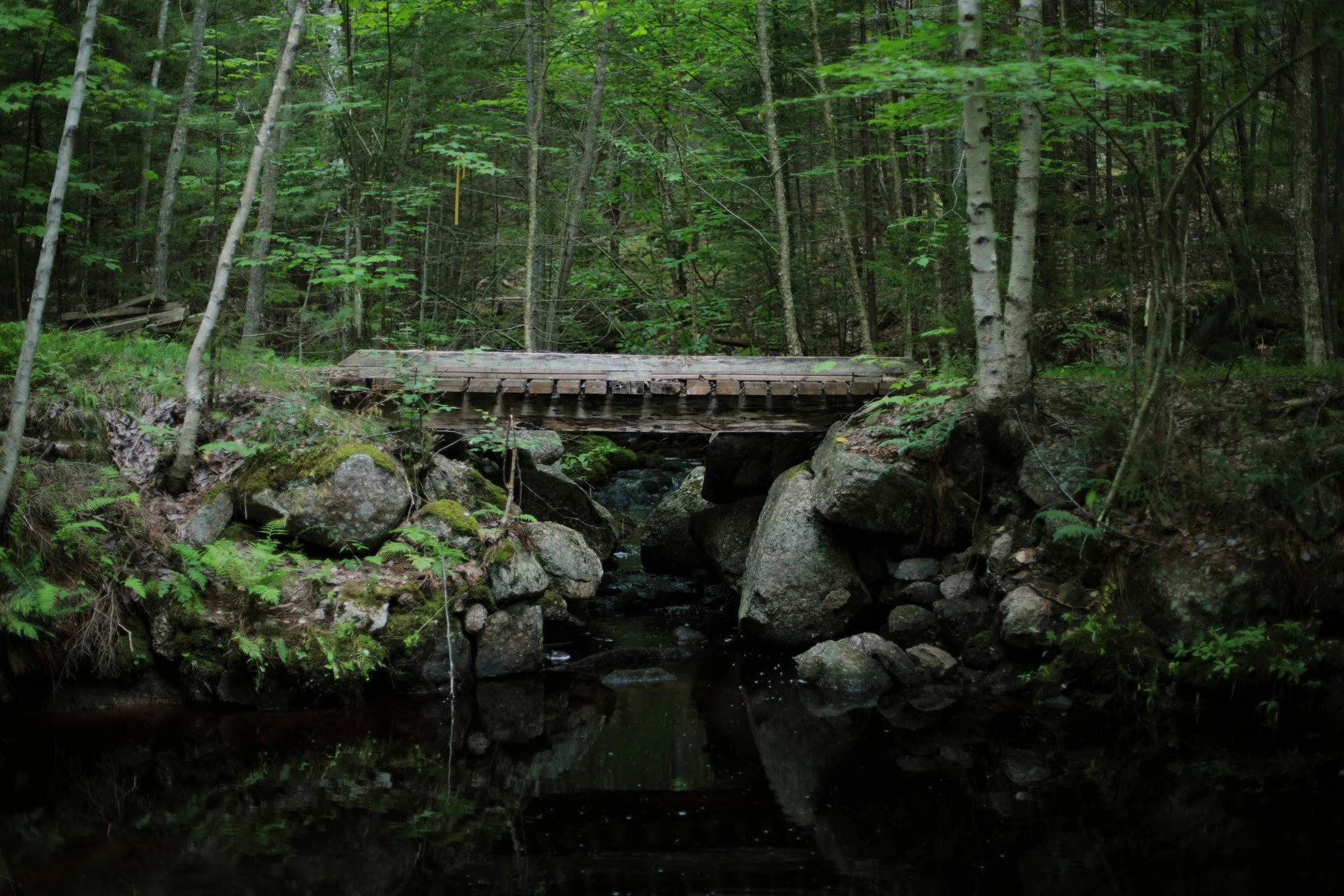 STRANGE FALSE &mdash;&mdash; Up a stream without a name, along a winding road the rises away from Round Hill River. I feel the strange and simple fascination of my homeland in most ordinary stead. What looks like a lot else, but is still so distinctl