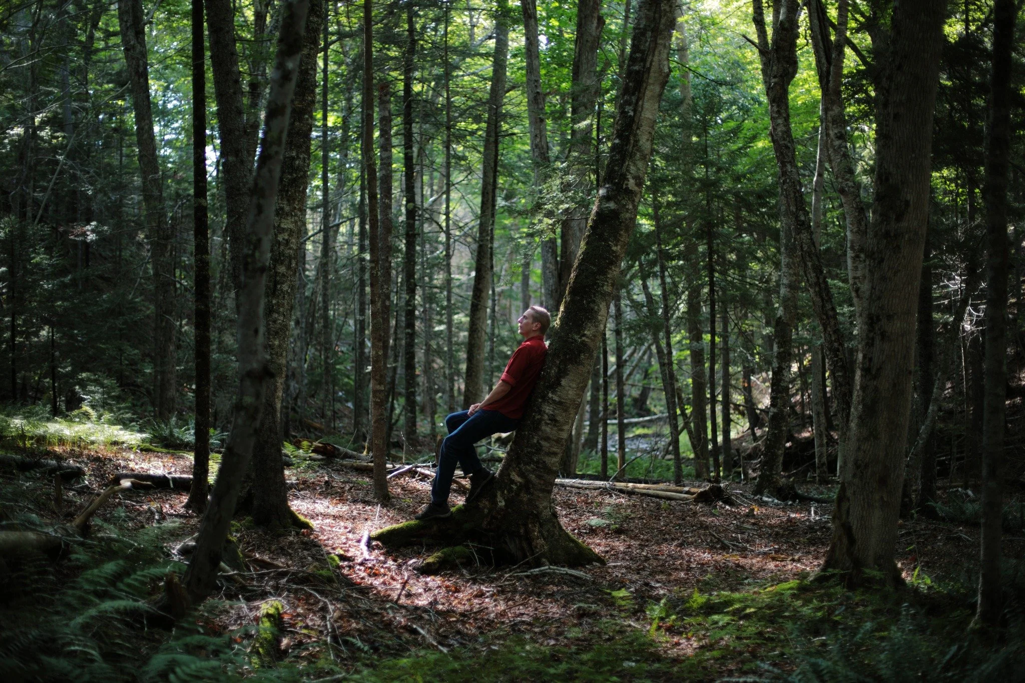 HERE AND OUT &mdash;&mdash; Almost every hike in August waits till after 4:00 PM. I'm on hold for the dappled light, when shadow tips the balance, claiming slightly more ground than sun. I really can't appreciate the full force of our nearest star un