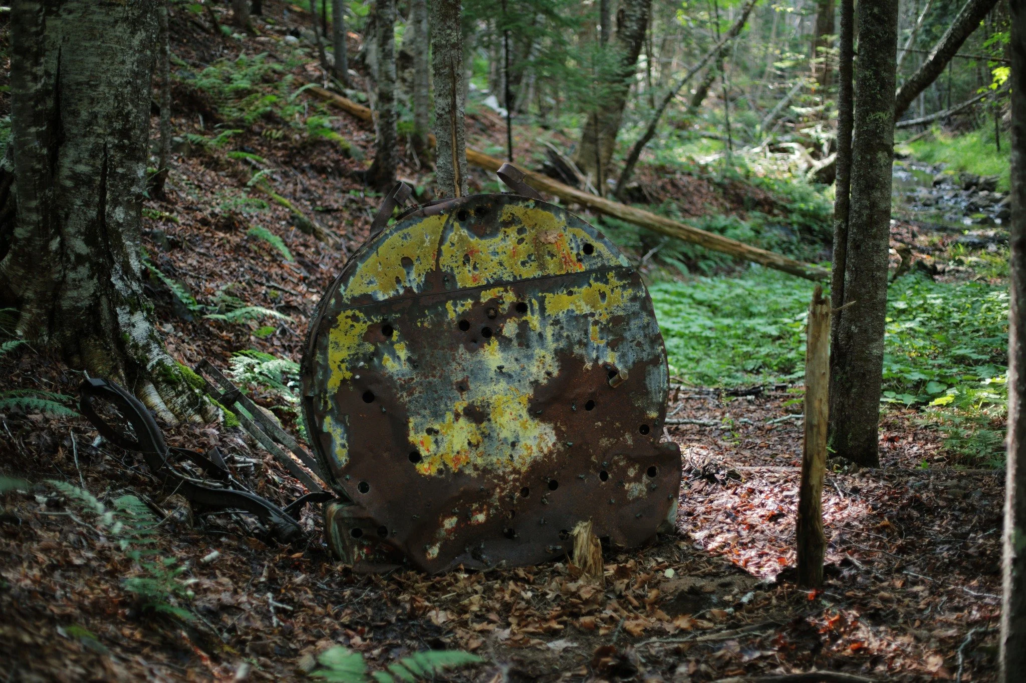 QUESTION IS &mdash;&mdash; I find a lot of dumped junk in the woods, random objects with rarely any hint of a story. But this circular structure I stumbled over on the banks of Stronach Brook has to have one. It's an old lighted sign, hollow in the c