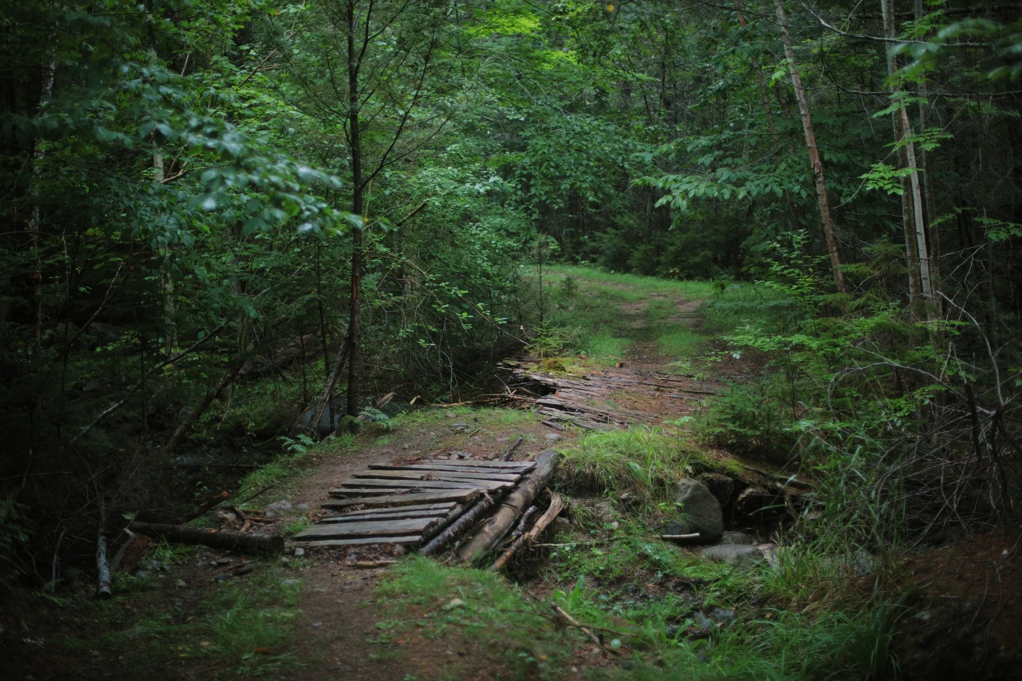 ALL THE WILDNESS &mdash;&mdash; This stream is spanned by an old tank of some sort, with the ends removed to form a makeshift culvert. The washed-out road surface is spanned by wood in various stages of rot. Mill Road isn't in much demand from this d