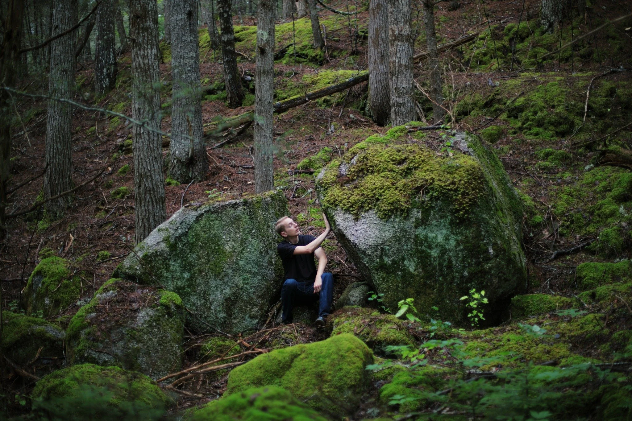 RESISTANCE &mdash;&mdash; What I love most about these ancient boulder fields is a sense of false precariousness. You feel as if something could suddenly come tumbling, though it's clear on closer examination that it can't. Everything left where it f
