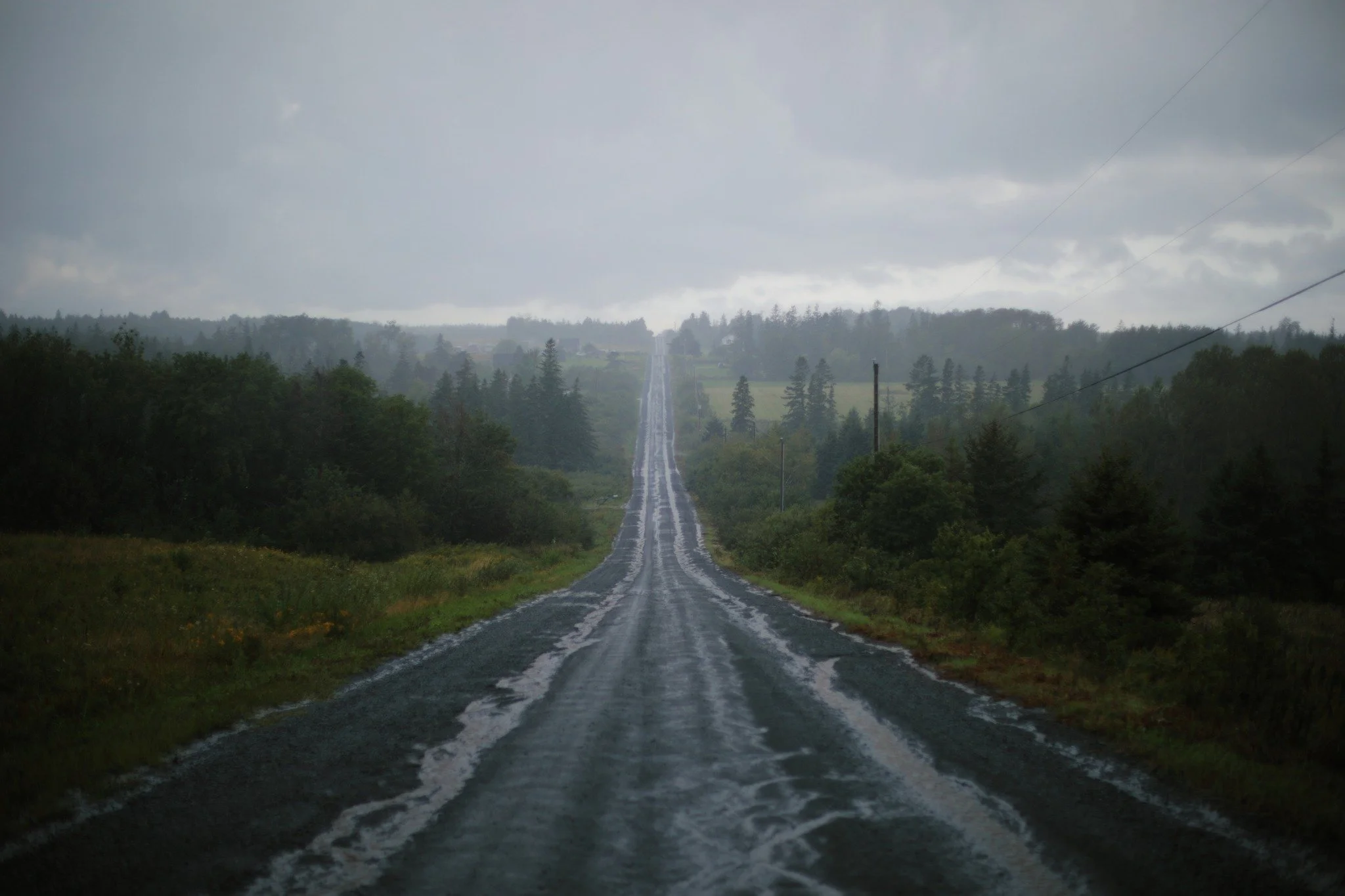 SENSE OF PLACE &mdash;&mdash; One of the first areas I explored in depth were the woods along Arlington Road. Old hippie houses, winding streams, marshy tangles of brush. It all felt so remote and lonesome then, though the folks who live up here simp