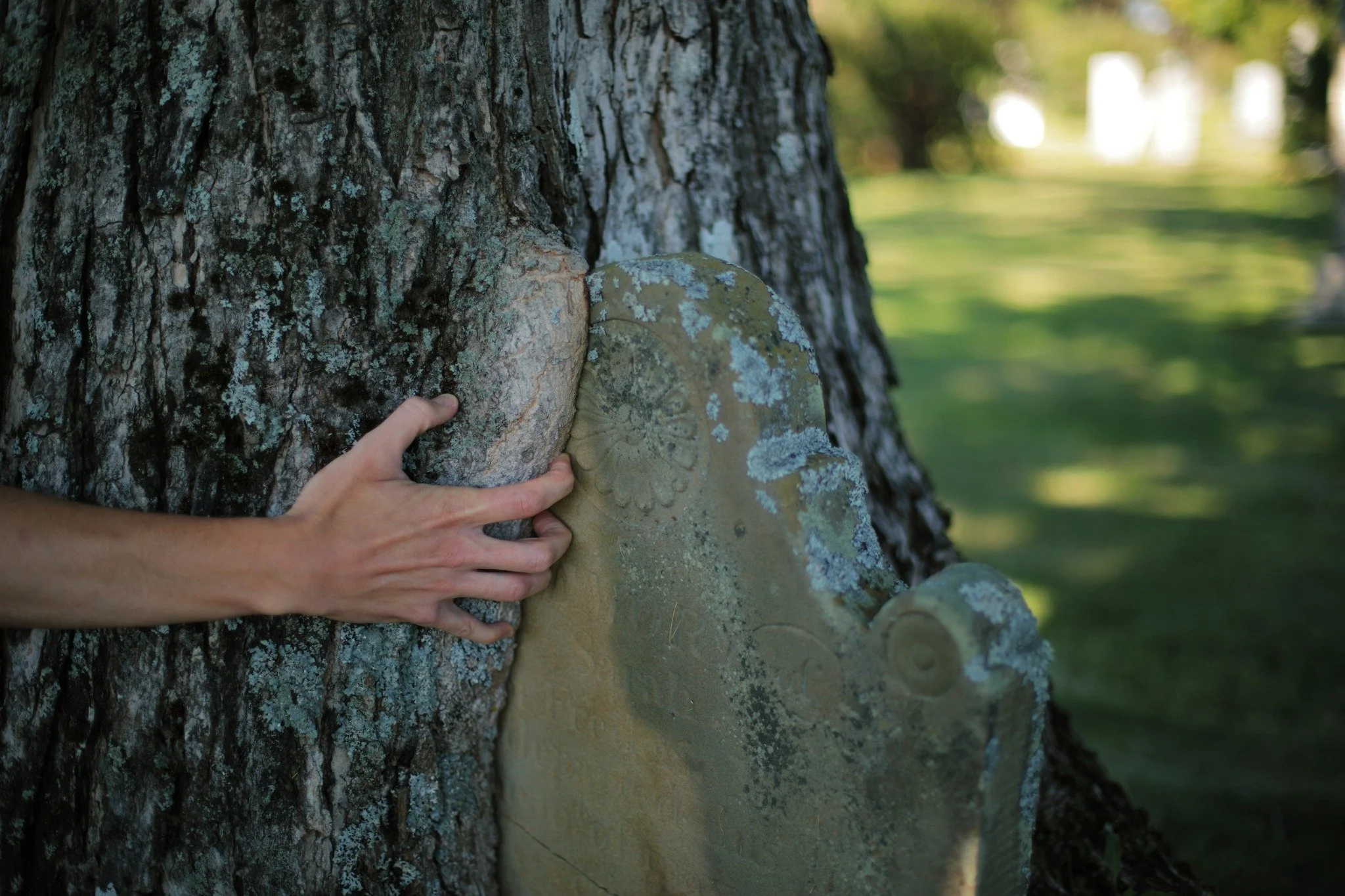 ANY OTHER WAY &mdash;&mdash; The oldest surviving gravestone at Nictaux Cemetery has been half-swallowed by a tree. Sarah Whitman Morton died in 1824, and this lovely sandstone marker was placed where she was buried. Perhaps a century later, a tree w