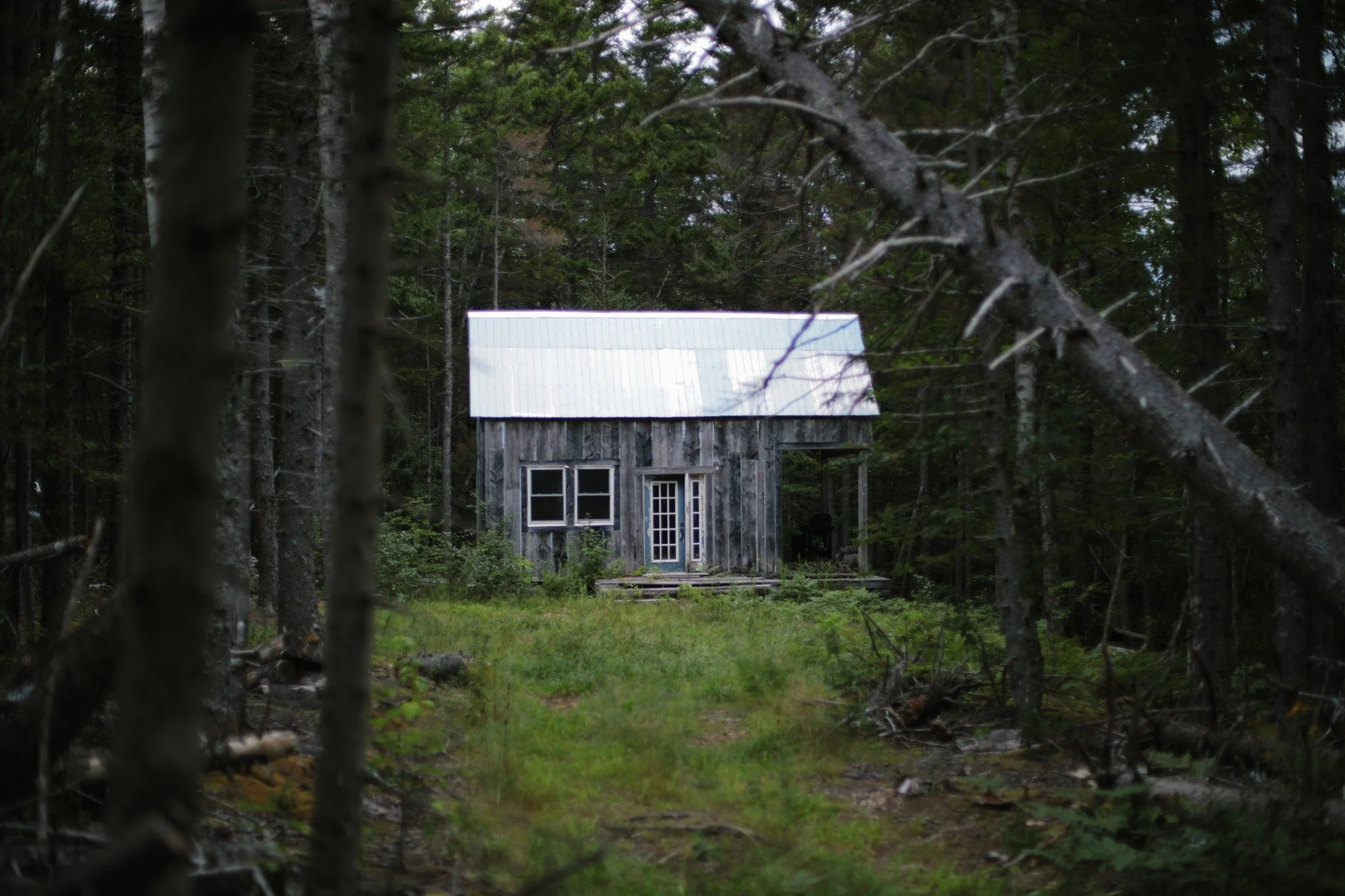 NEVER RUN AWAY &mdash;&mdash; Unfinished but already abandoned. It's a surprisingly common sight when I wander in the wild, cabins left to nature in a not-quite-completed state. Somewhere in the wide-eyed tangled woods surrounding Brown Brook, I spot