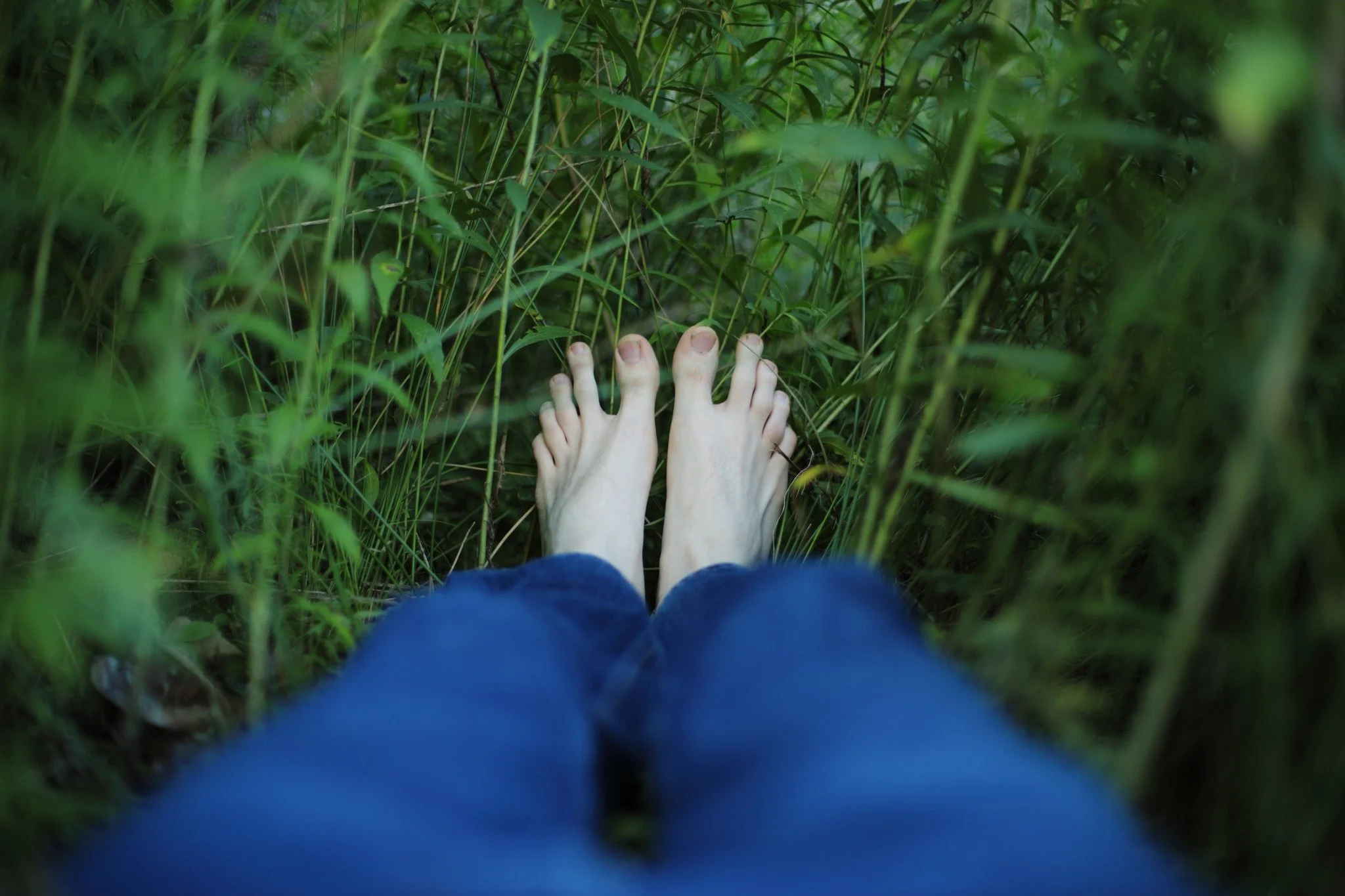 TIME INTACT &mdash;&mdash; Out by the treeline, I leave a swath of grass to go wild. Between the lawn and the trees, every kind of wildflower and weed rises. I don't know enough to tell one from the other. Just a patchwork quilt where late summer see
