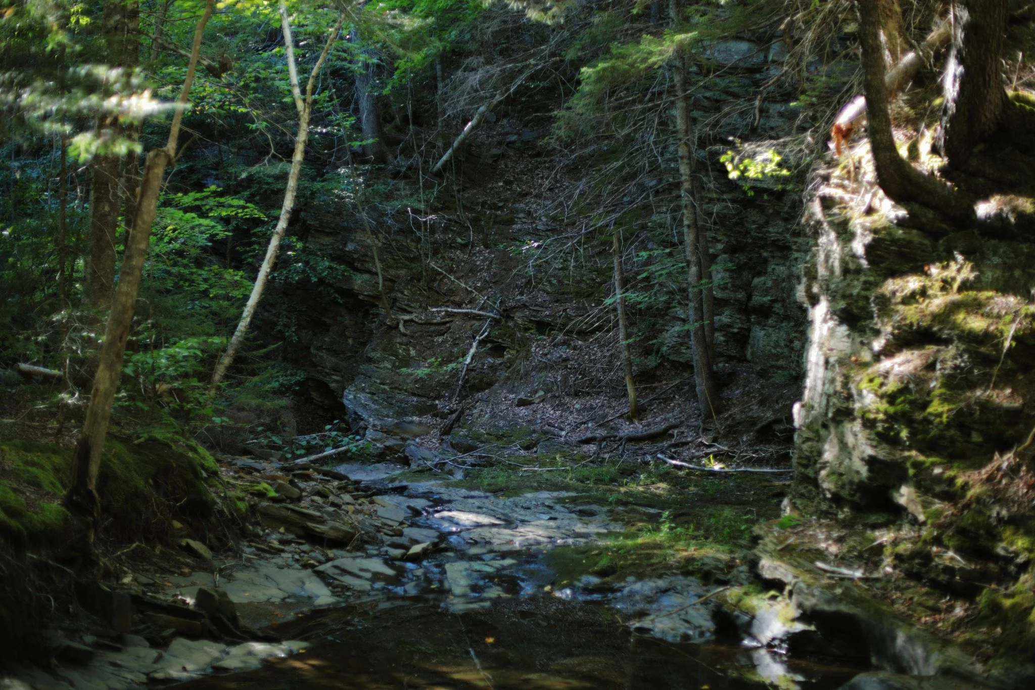 WORLDVIEW &mdash;&mdash; I've been pretty prone to nervousness lately, with one thing and another, a common chaos that runs me around. The easiest escape is sending me down some sleepy streambed, running mostly dry at the tail end of summer. Late aft