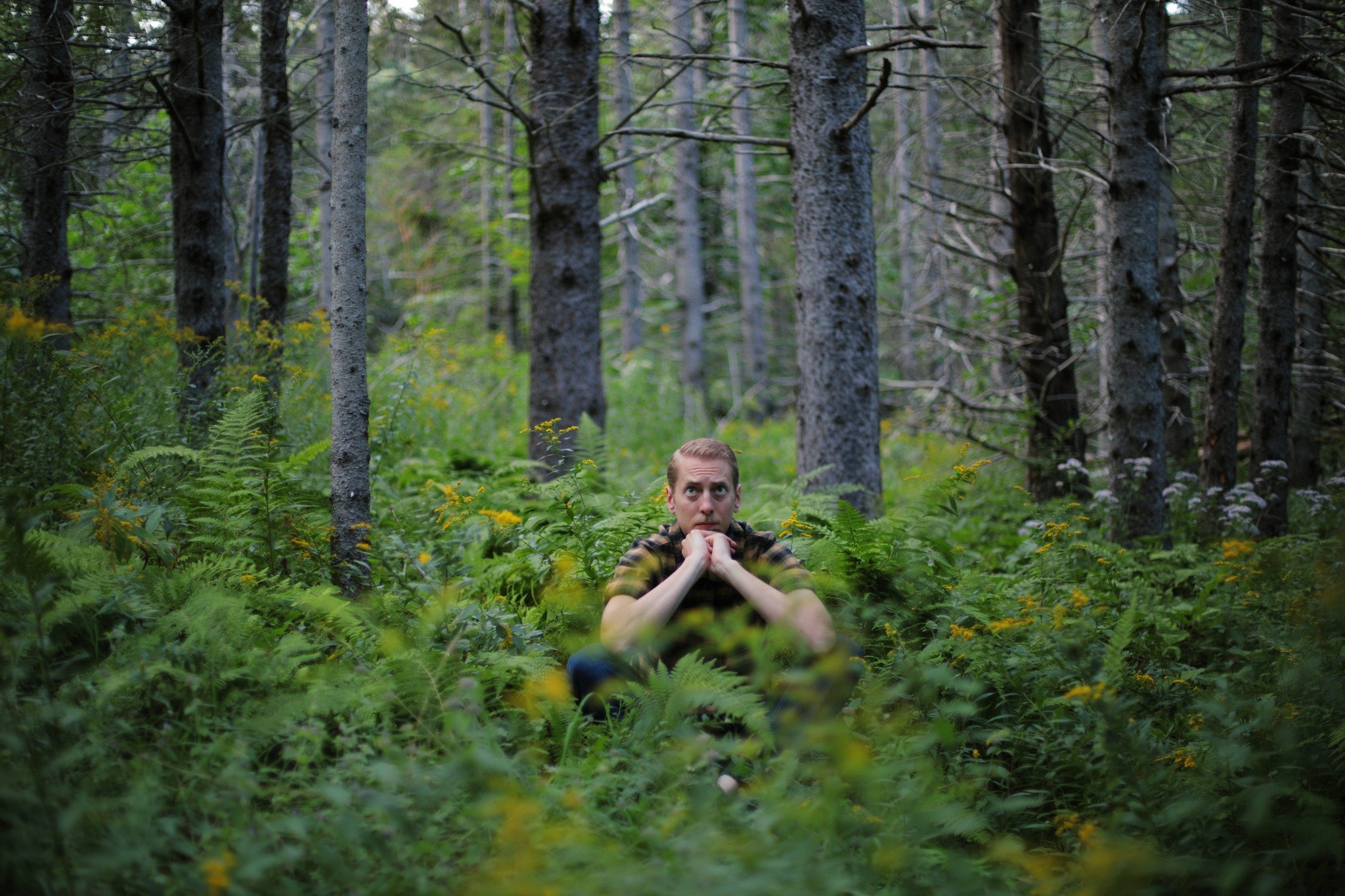 EVER GIVEN &mdash;&mdash; Out back of my childhood home is an unbroken swath of woods. Climbing up the North Mountainside, young growth rising from abandoned cattle fields when we built in the early 80s. This forest still shows signs of that youth. T