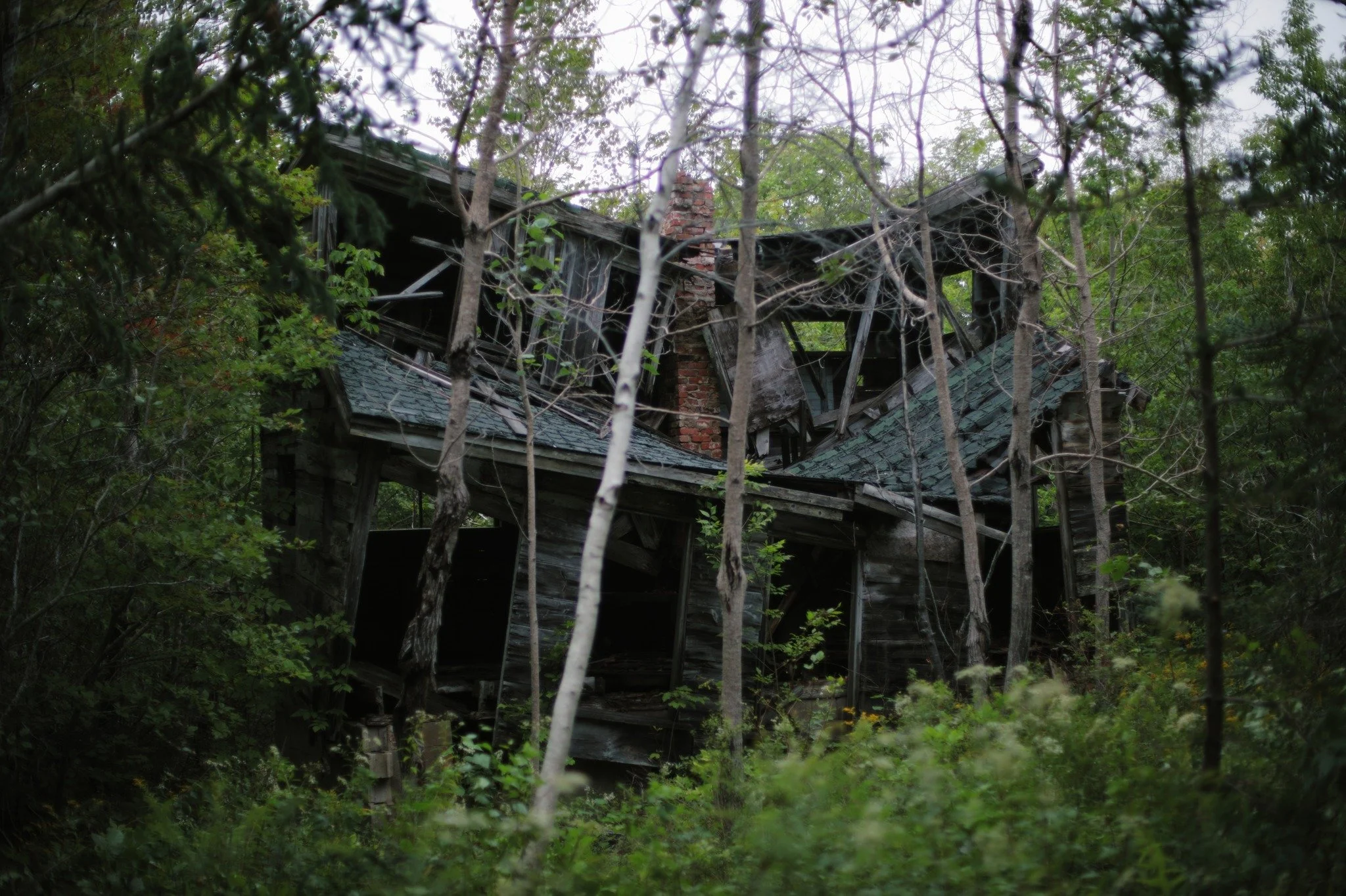 NEVER INHABITED &mdash;&mdash; I first stumbled over the Stevens homestead eight years ago. I was almost repelled by a black bear disturbed by my presence, bounding through the brush in circles. I never caught a glimpse, but recognized the smell and 