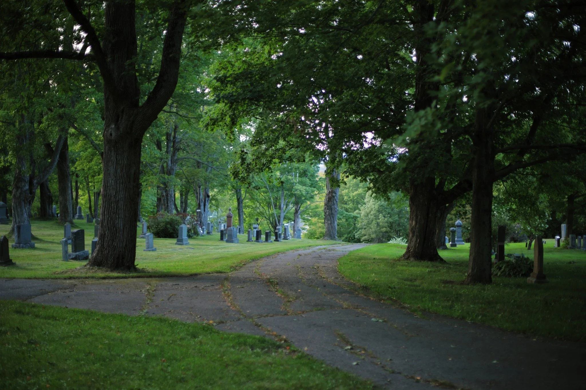 LOW AND TRUE &mdash;&mdash; I know all the spots in my down home towns where I can walk least likely to be disturbed. Cemeteries are obvious ones, especially with evening coming on. But anywhere that seems civilized, just not at the moment, is made f