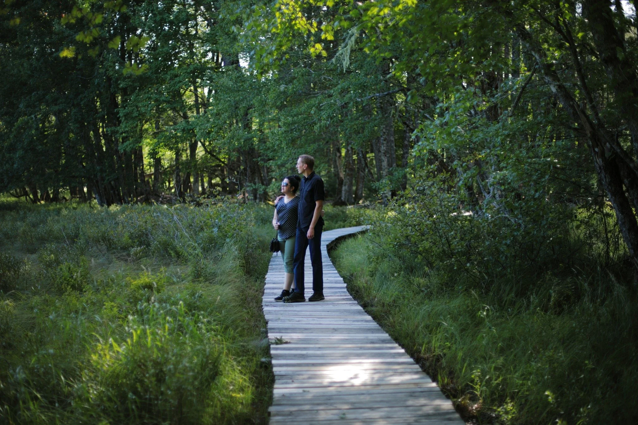 NO ONE PLACE &mdash;&mdash; In the two decades since I started hiking daily, I've never once revisited my childhood stomping grounds at Kejimkujik National Park. Wandering in isolation pulled me in the opposite direction from the world of marked trai