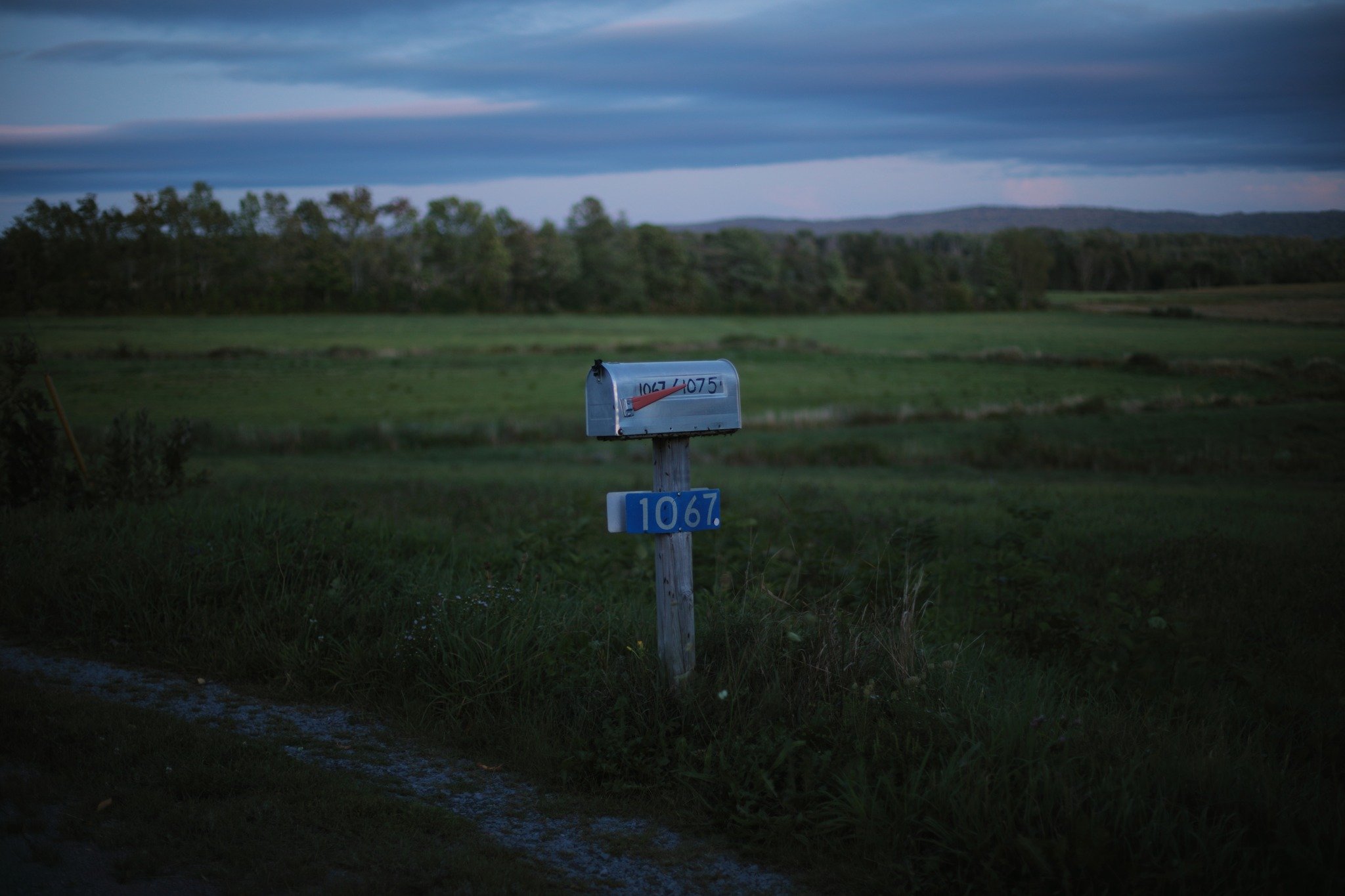 THE ONLY CERTAIN &mdash;&mdash; Walking with the one I love while darkness steals the daylight softly. It's one of the more incomparable pleasures in my lifetime. Clarence Road in reach of home has a distinctly dual personality, with woods to the wes