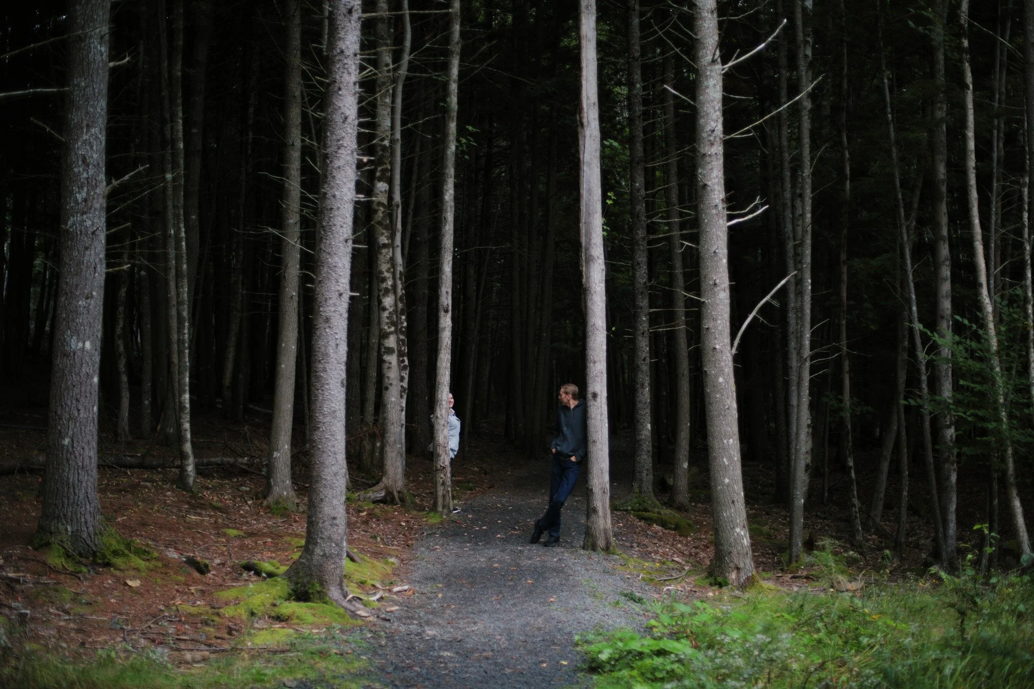 UNDERSTORY &mdash;&mdash; I suppose there's not much mysterious about a park surrounded by population. But add a little darkness falling, and anywhere under sway of nature can seem equally menacing and welcoming. That's how it felt tonight in Woodlan