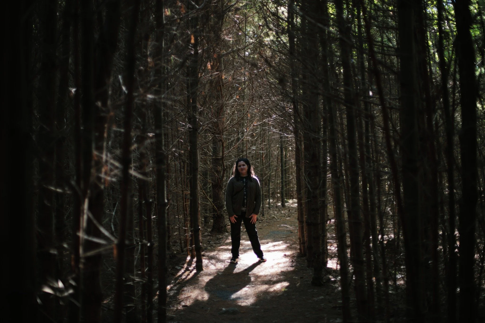 SUN SINK LOW &mdash;&mdash; After a good twenty years away from Kejimkujik, I went back twice this September. It proved a welcoming time to visit, with most trails silent, even on a Saturday. With the leaves still in summer and no bugs to speak of, I