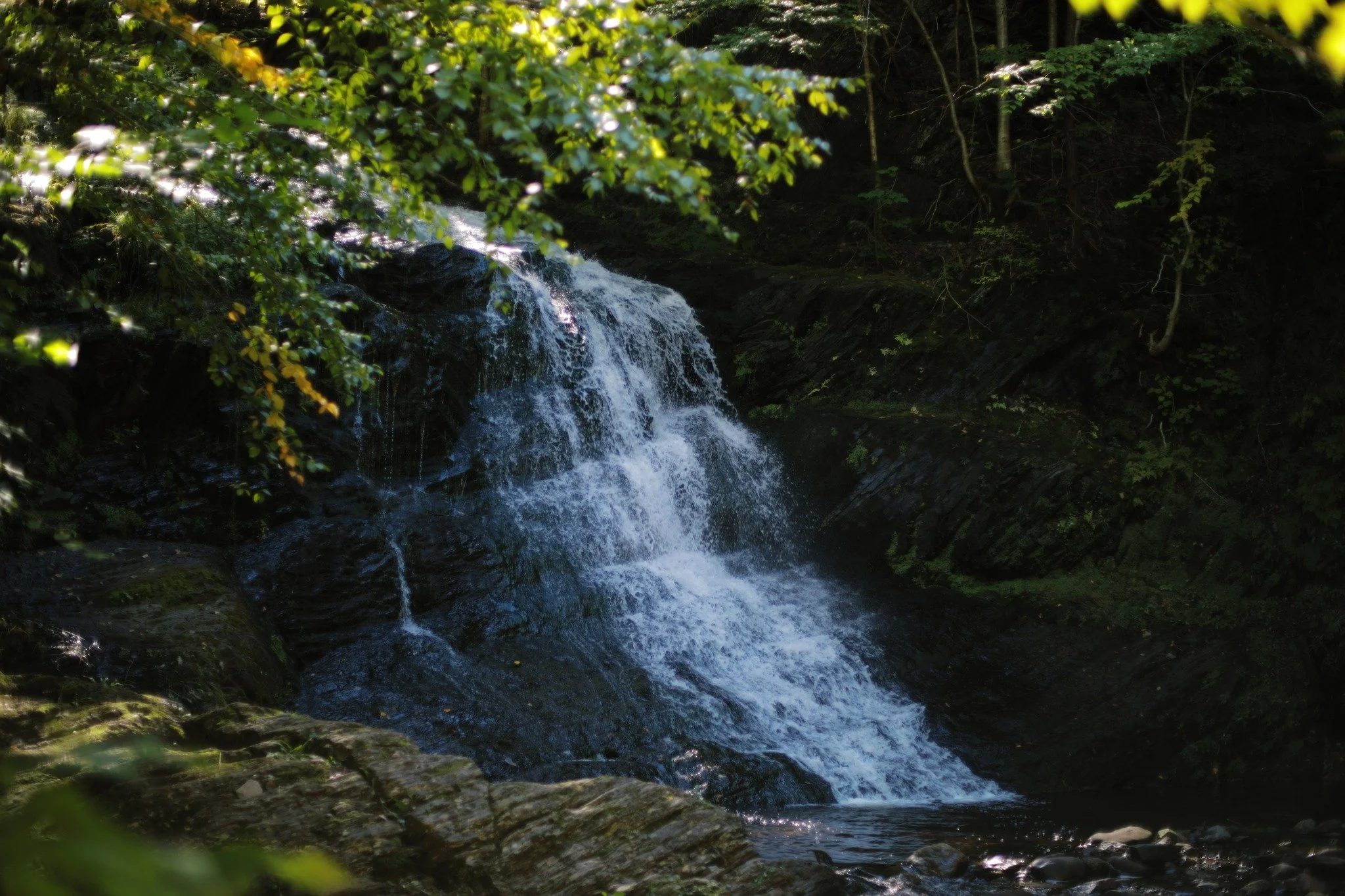 DAYS INTO ONE &mdash;&mdash; There's always a strange sensation in me where I expect waterfalls to stop falling. It takes a few minutes of standing for their timelessness to set in. The water cycle consistently sends me on journey to return, show up 