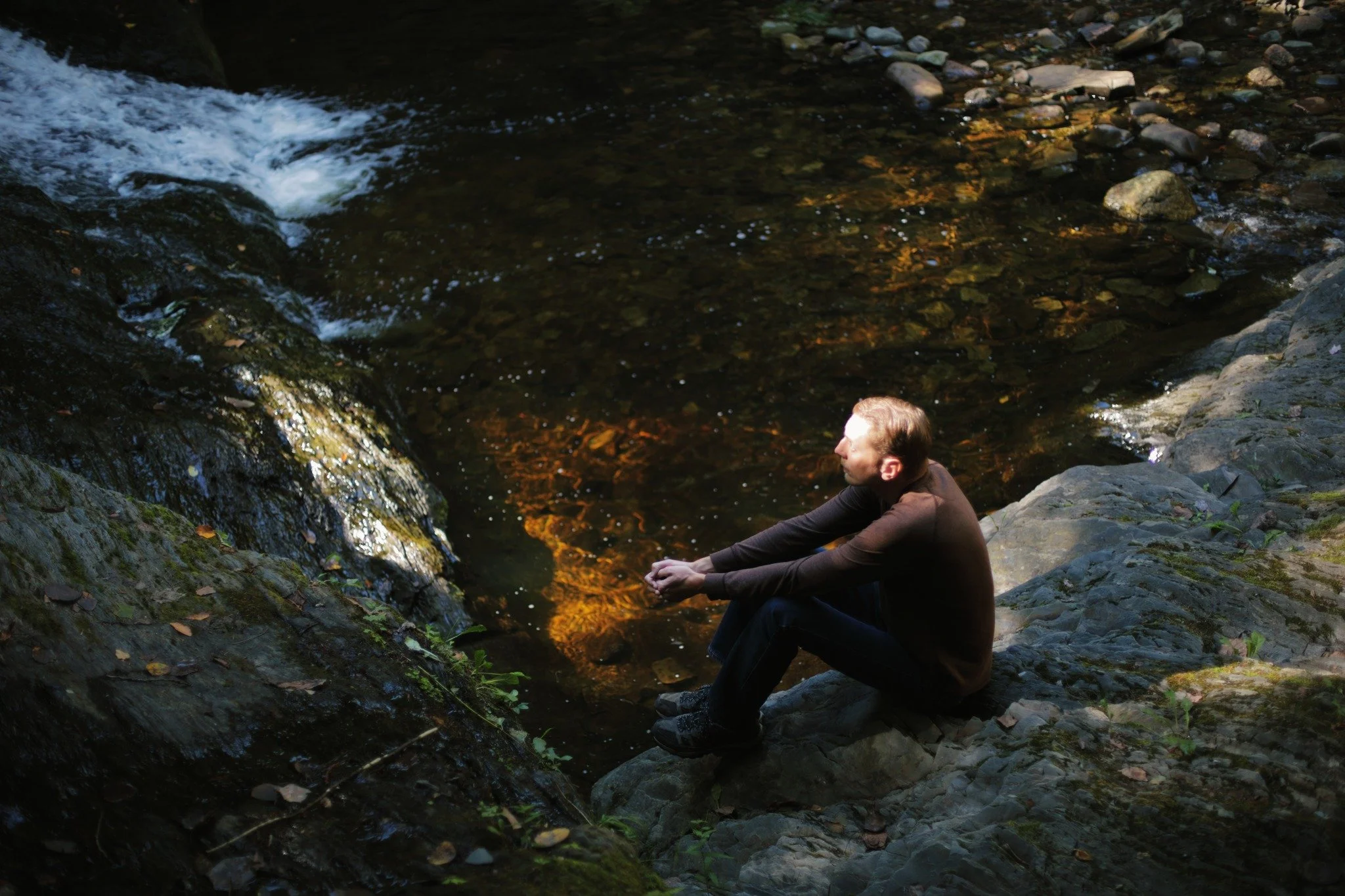 DARTS AND WATCHES &mdash;&mdash; On the short hike up Moore's Brook to get here, I passed a woman sitting with a cushion on a rock in the stream. She'd clearly planned to stay a while. When I returned to her a half hour later, she hadn't shifted. I d